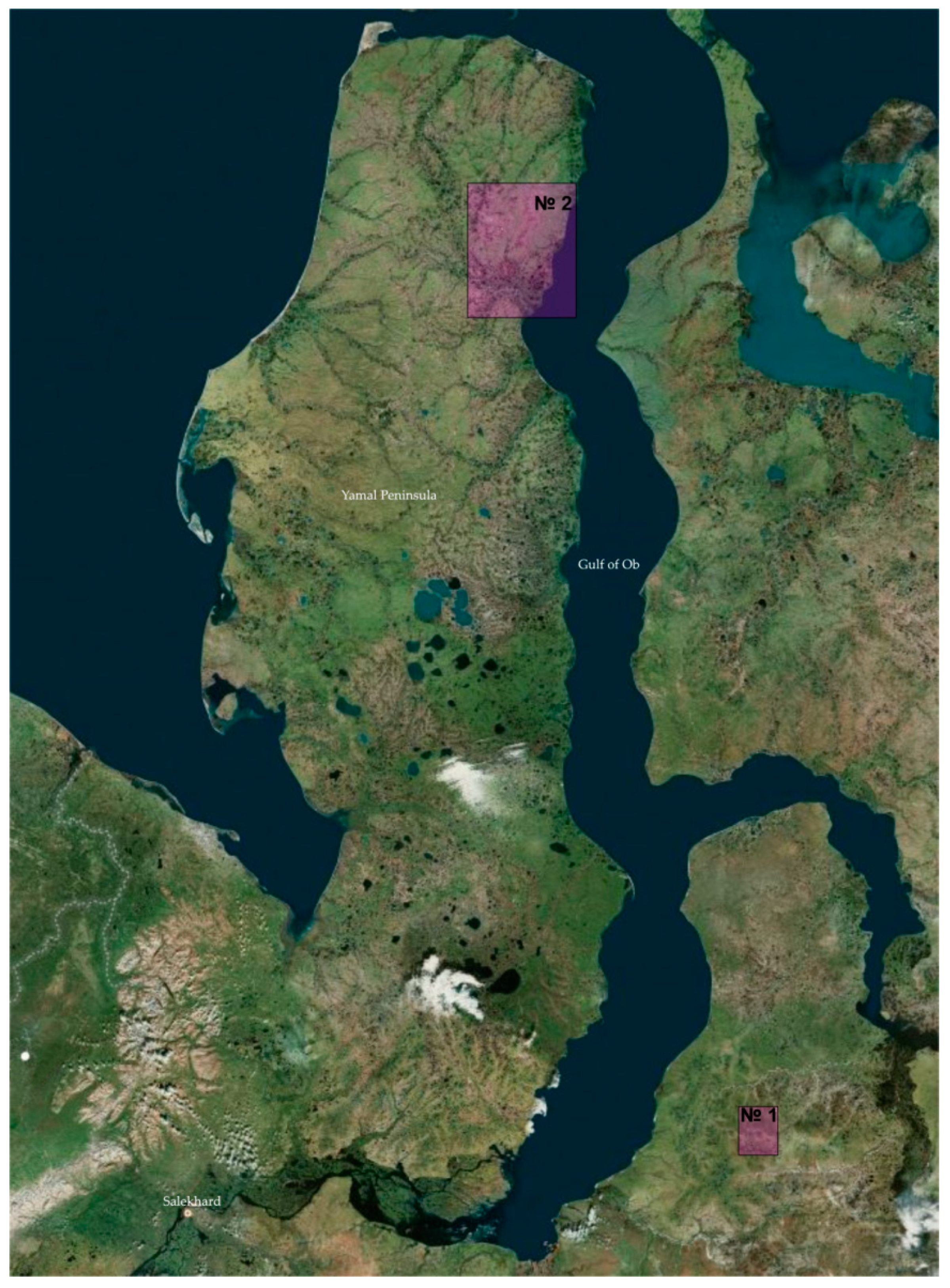 Energies 15 02847 g001