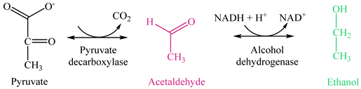 Energies 15 02986 i001