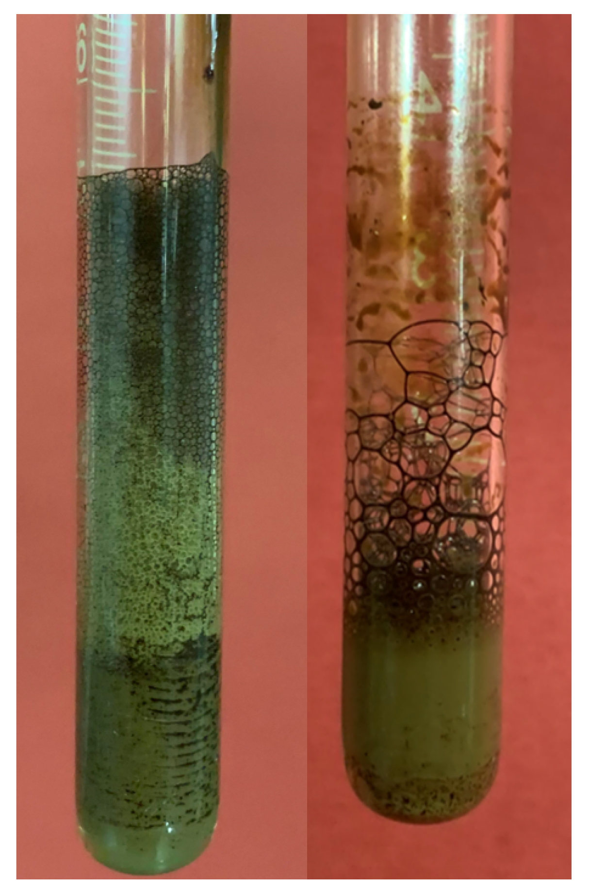 Energies 15 03058 g035