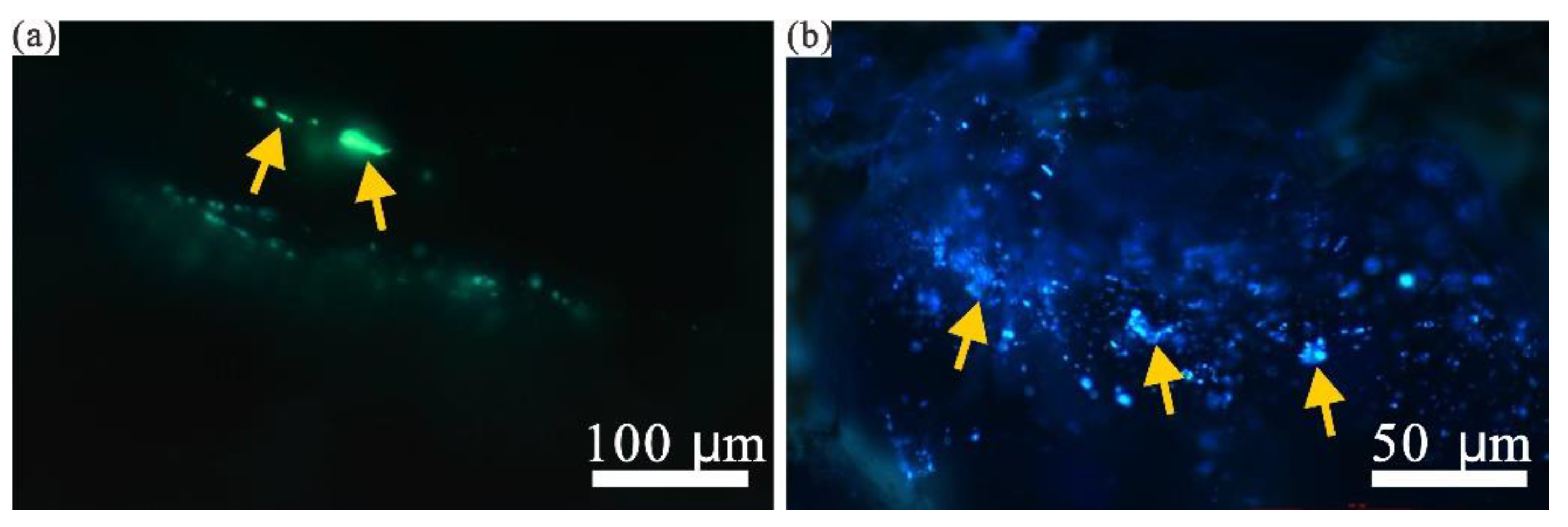 Energies 15 03135 g011