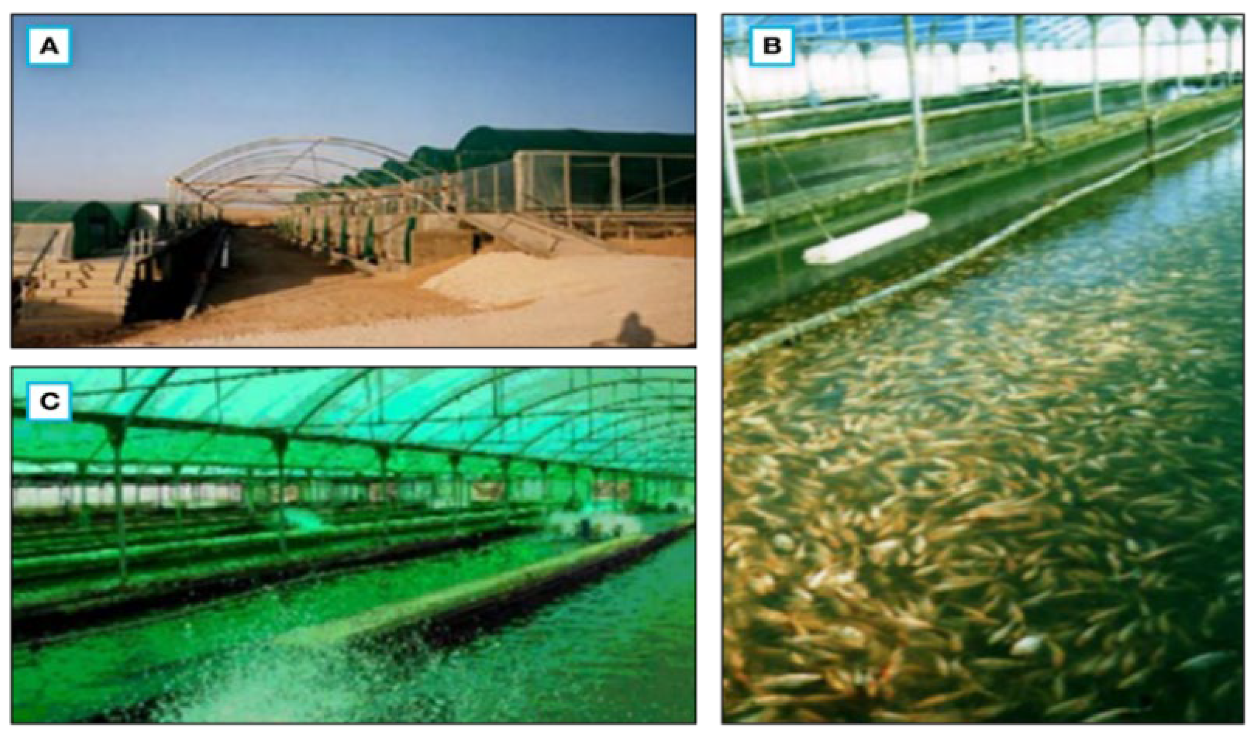 Energies 15 03288 g006