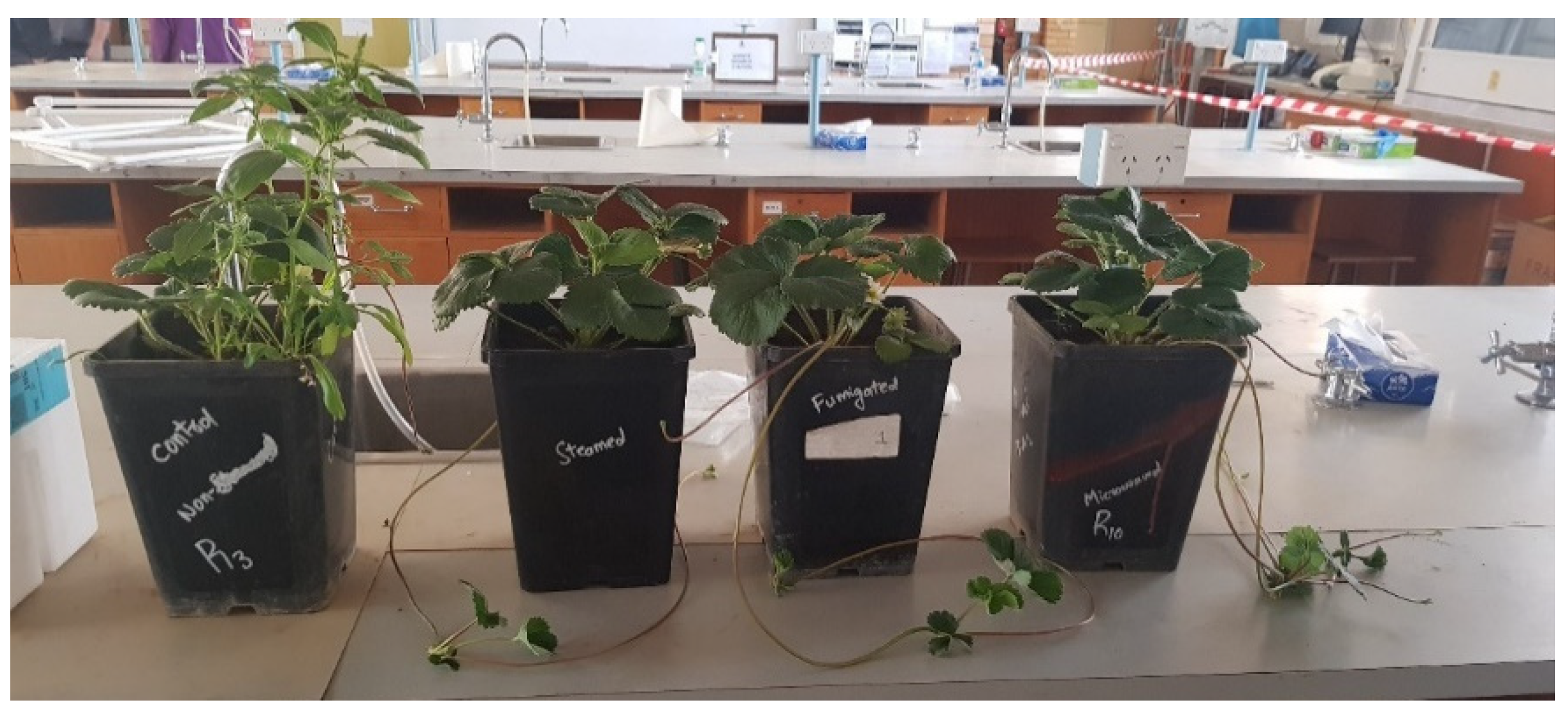 Energies 15 03508 g006