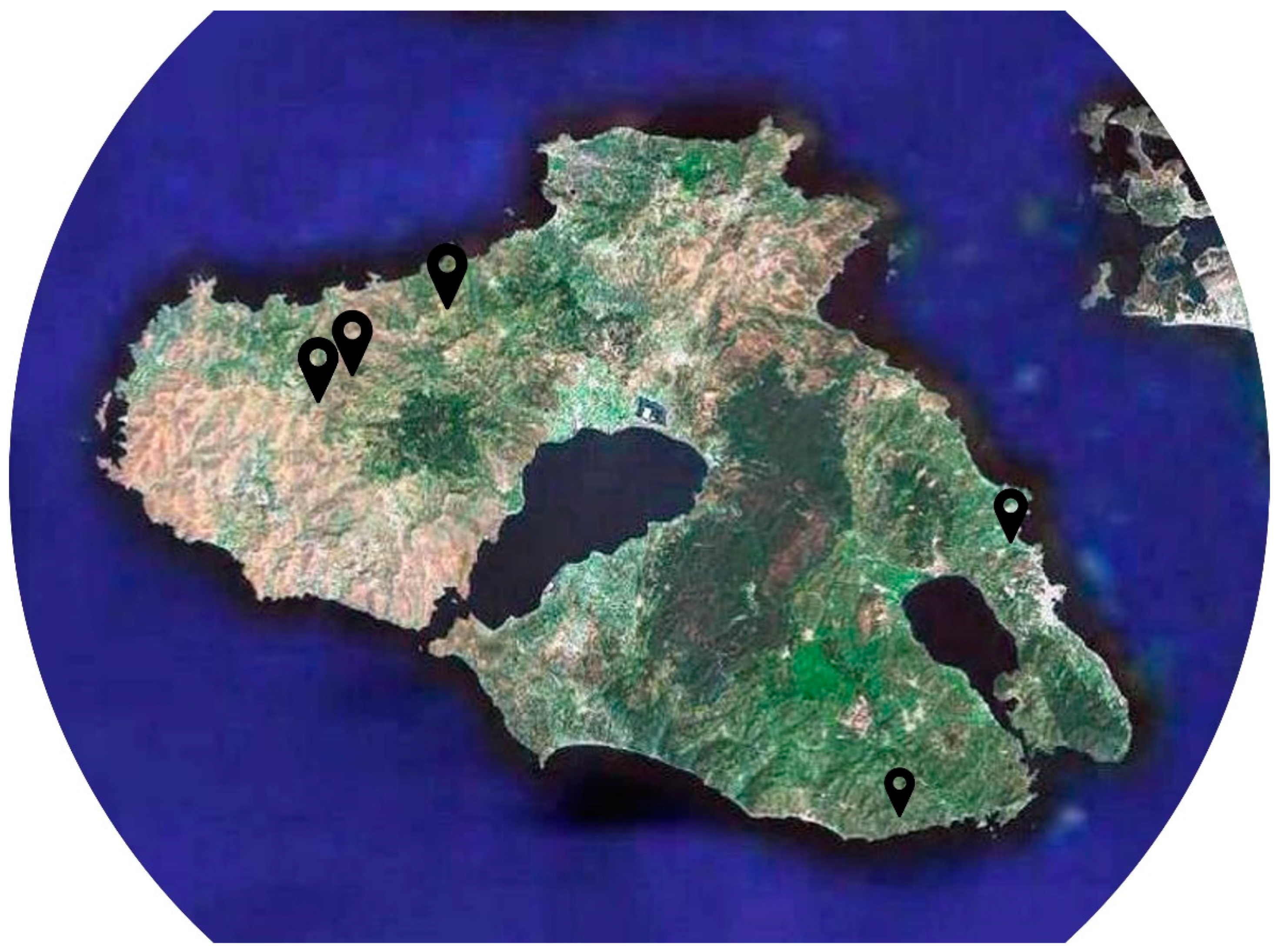 Energies 15 03574 g001