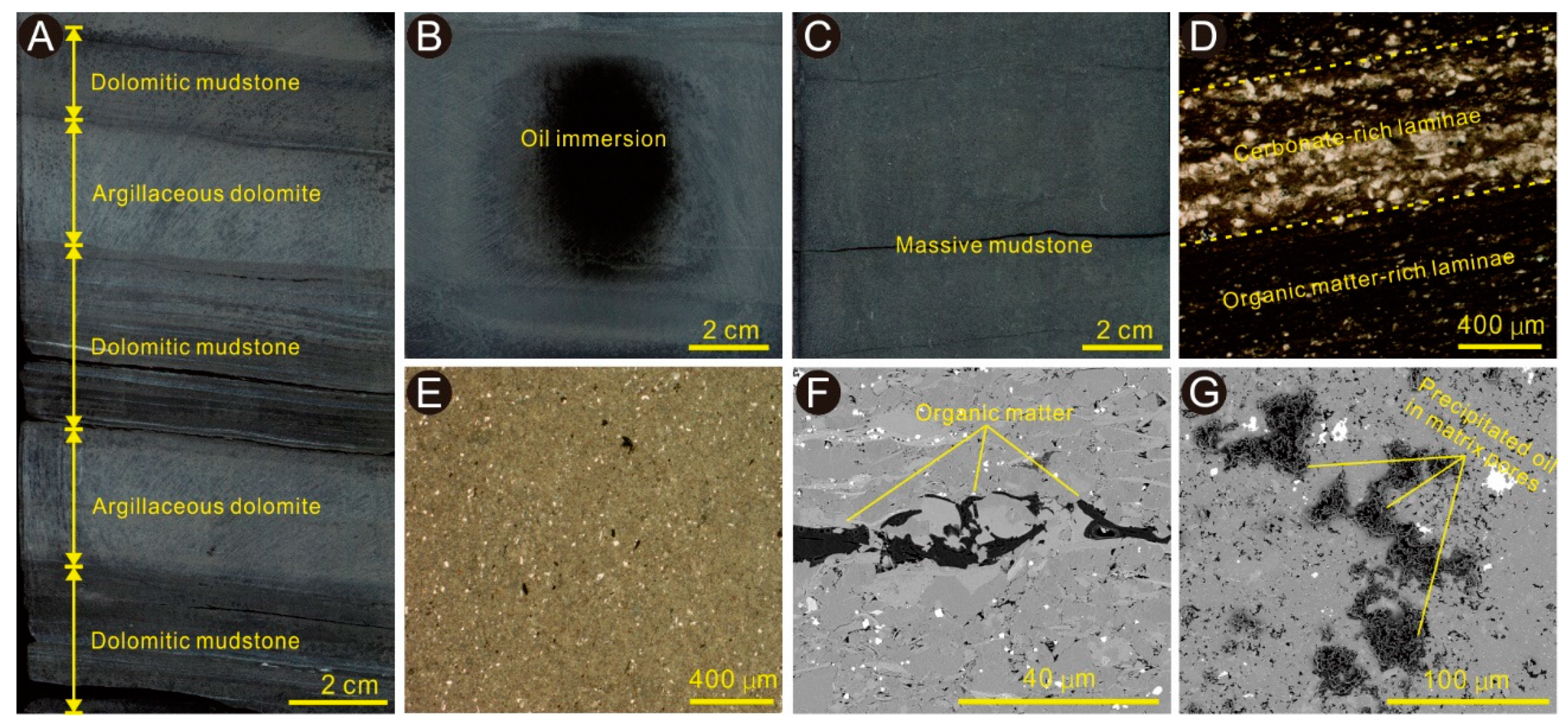 Energies 15 04038 g004