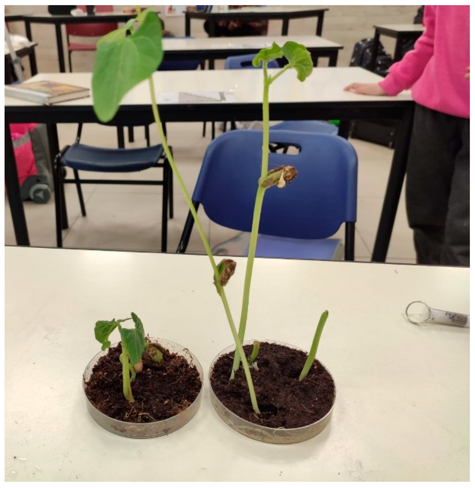 Energies 15 04226 g003