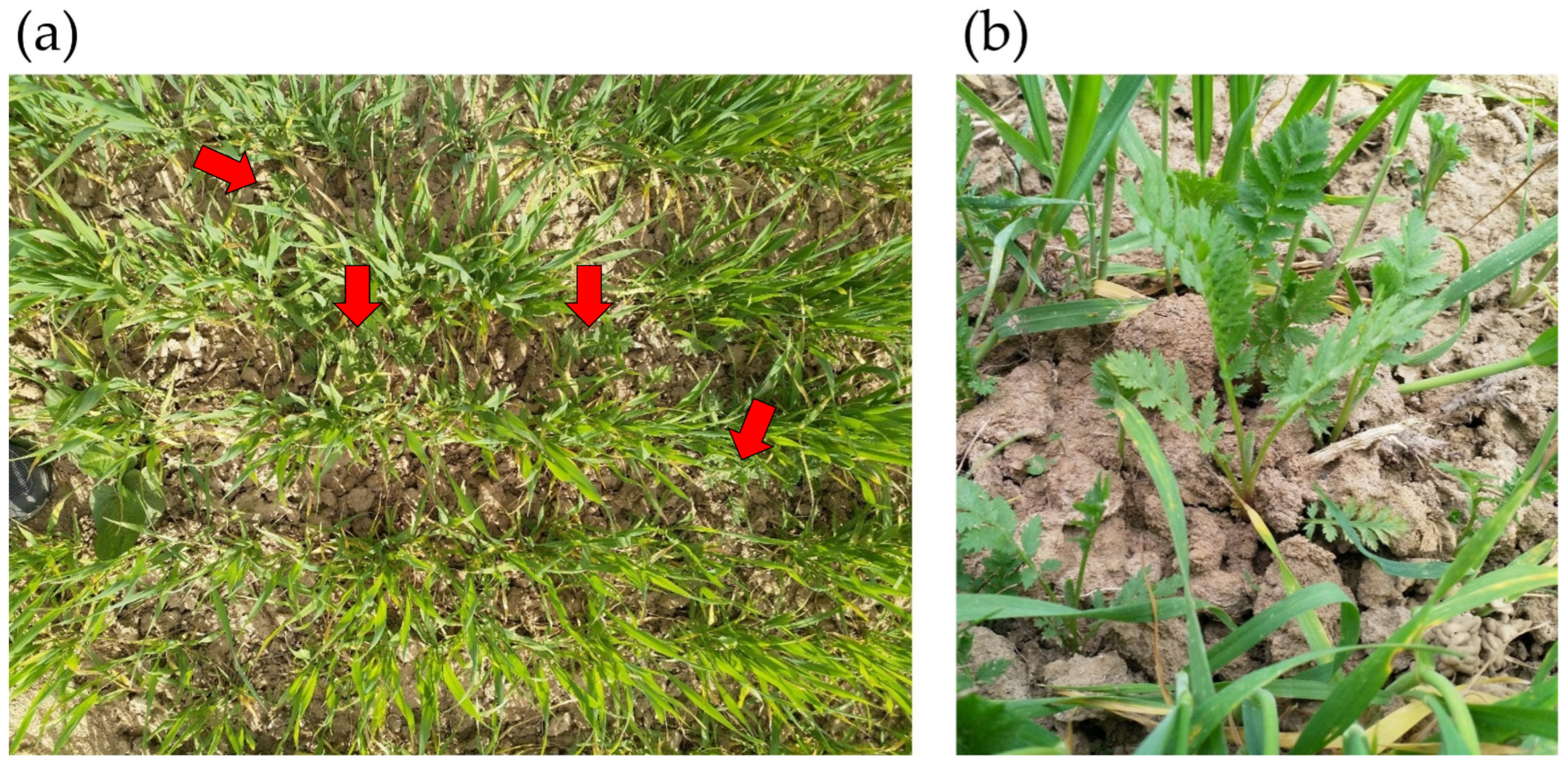Energies 15 04380 g007