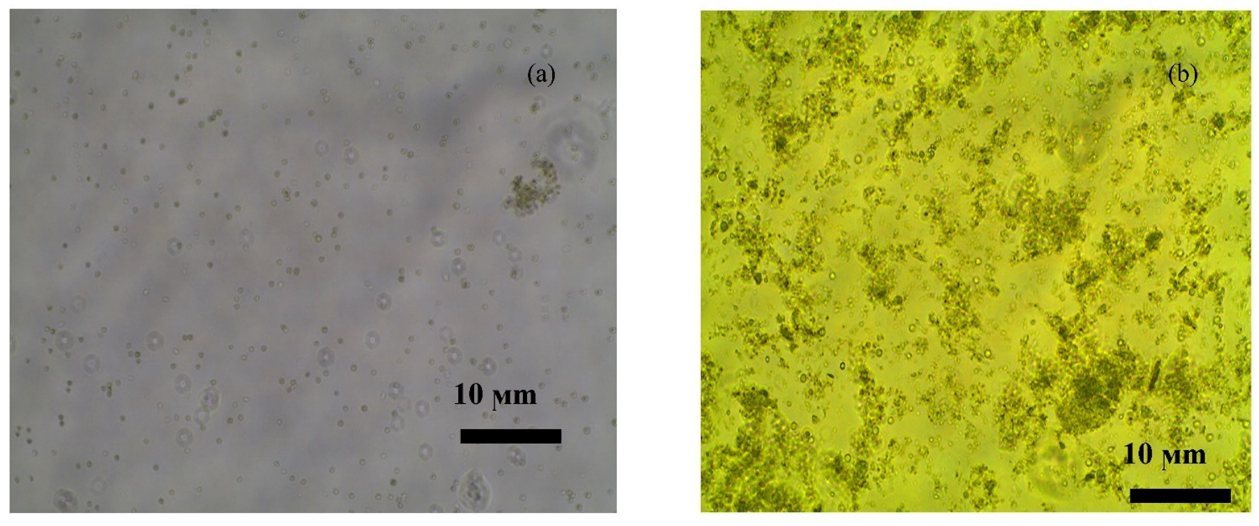 Energies 15 04482 g002