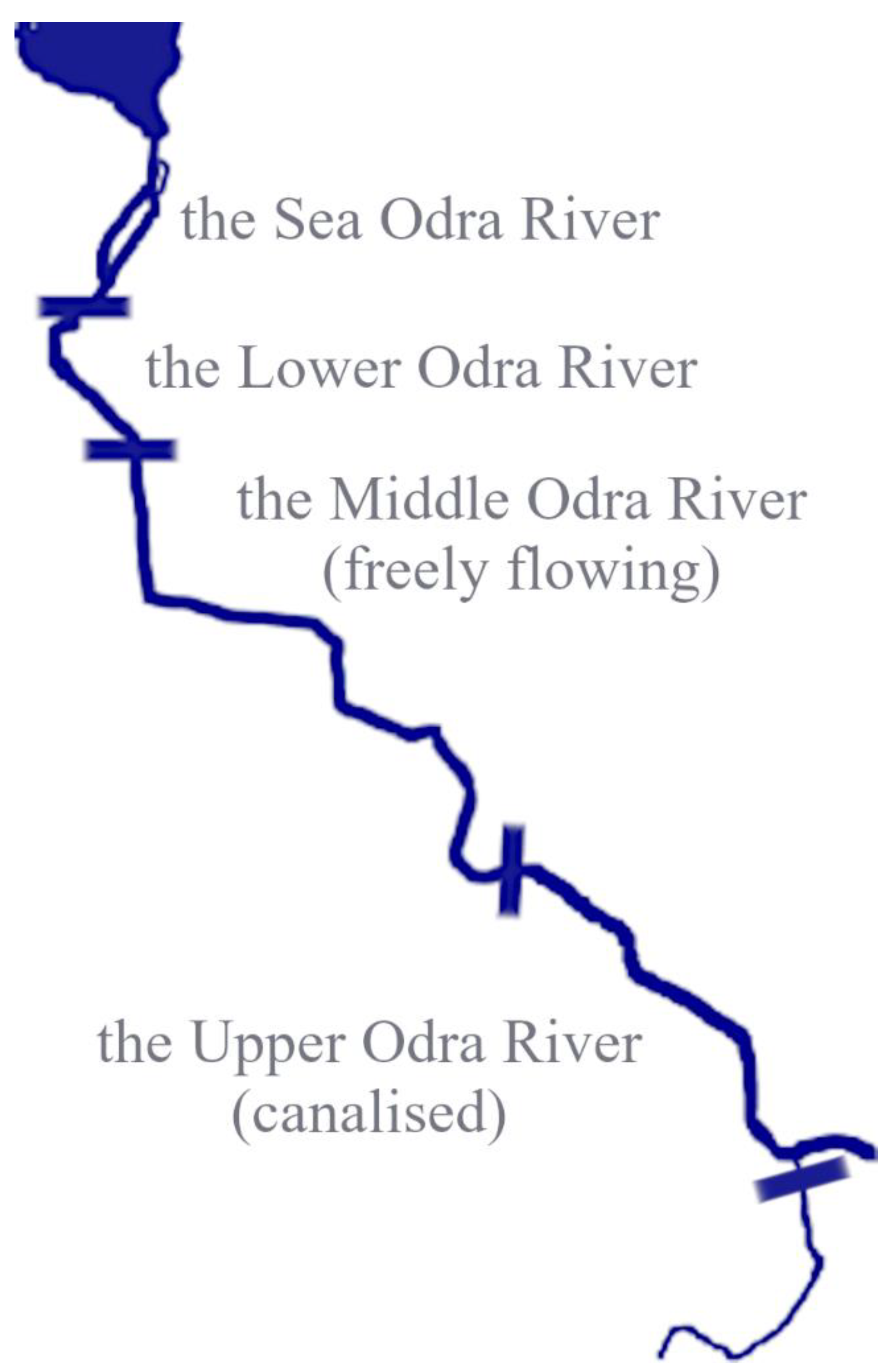 Energies 15 04660 g003