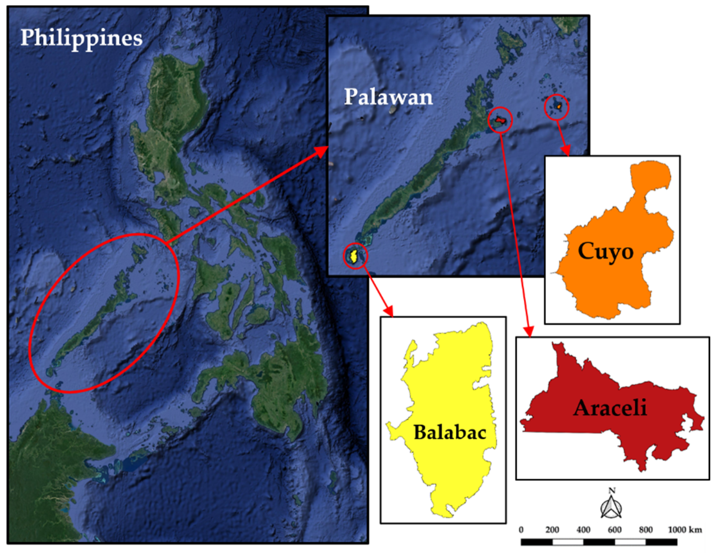 Energies 15 04794 g003