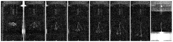 Energies 15 04861 g0a1 550