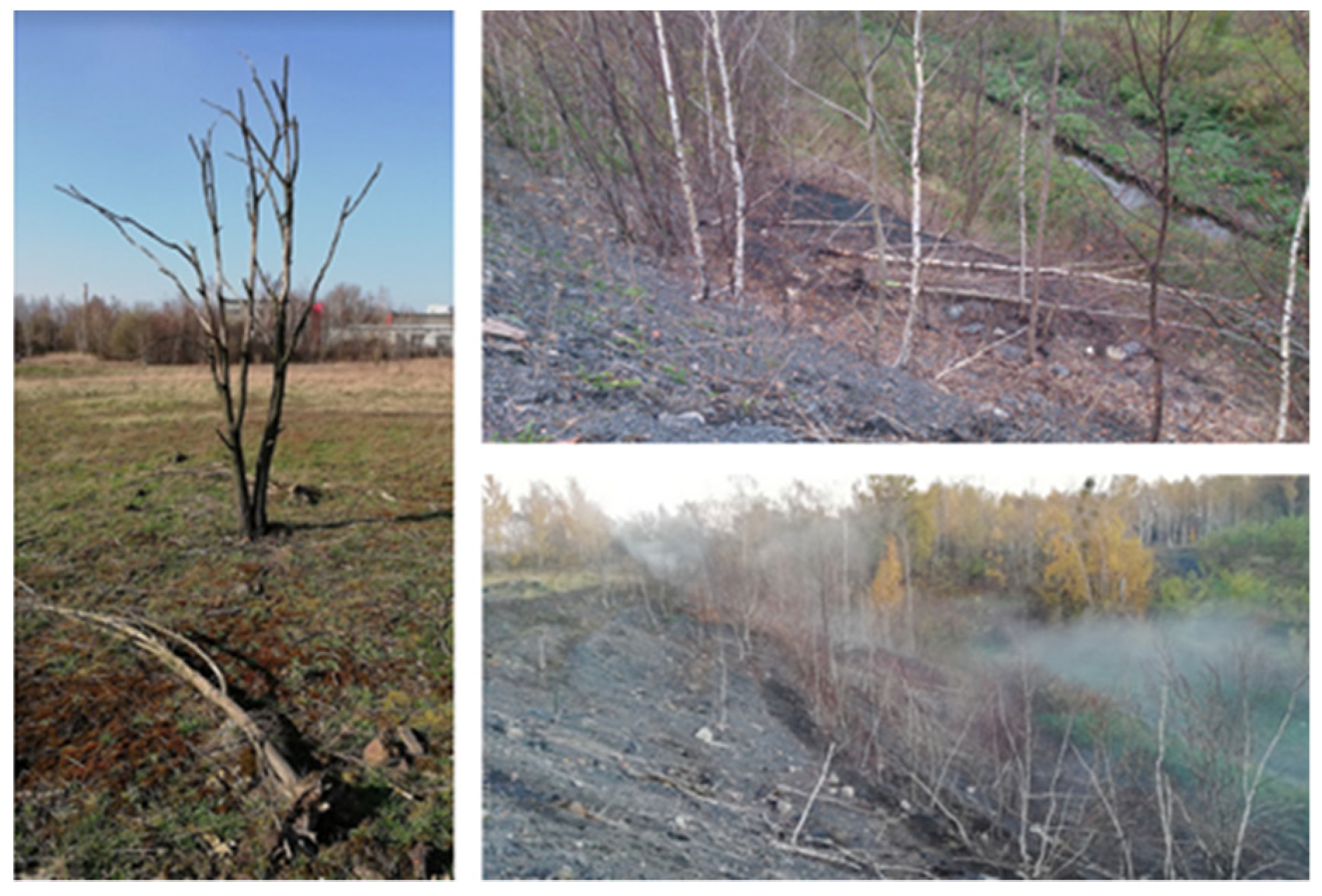 Energies 15 05766 g011