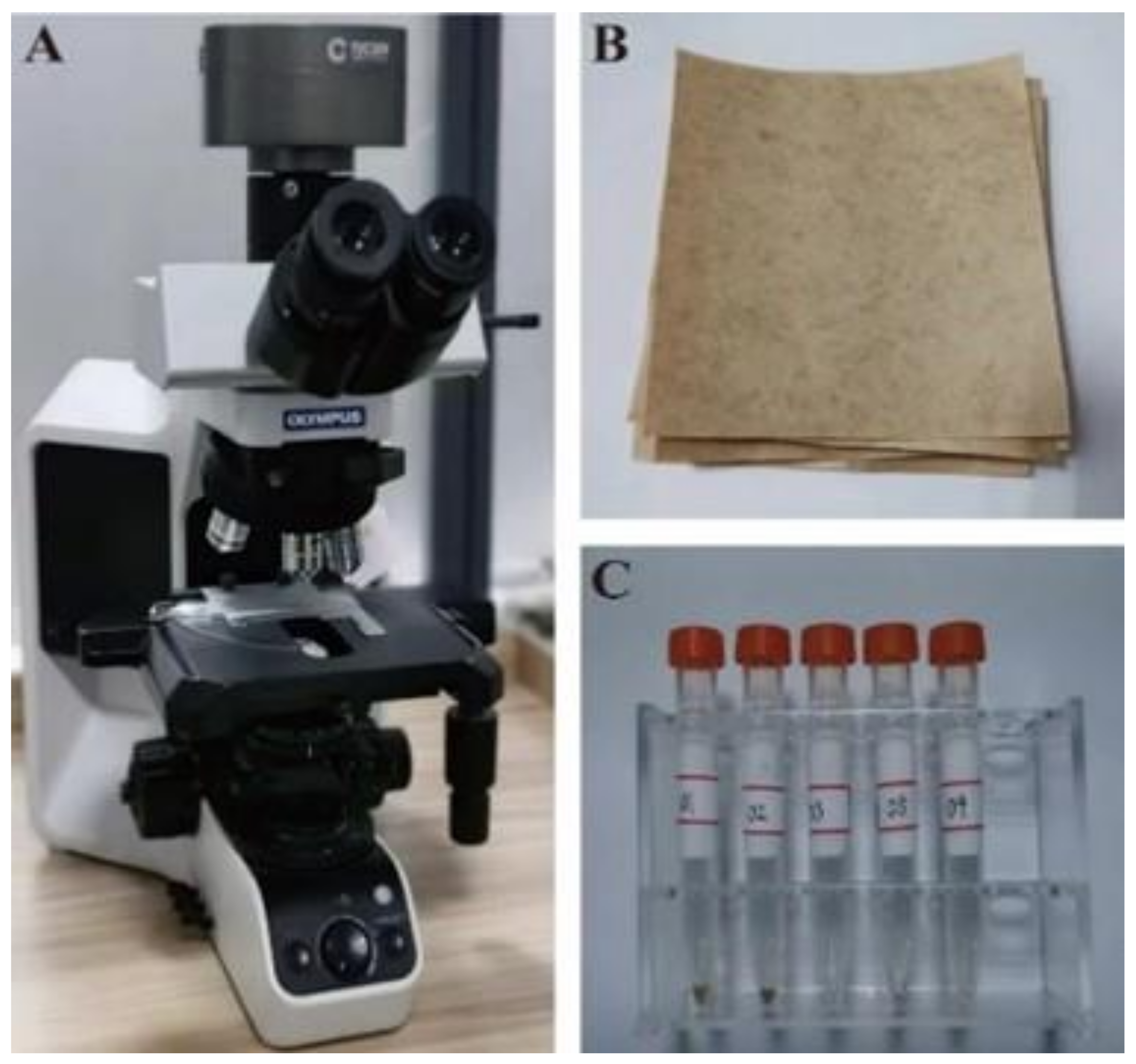 Energies 15 05836 g002