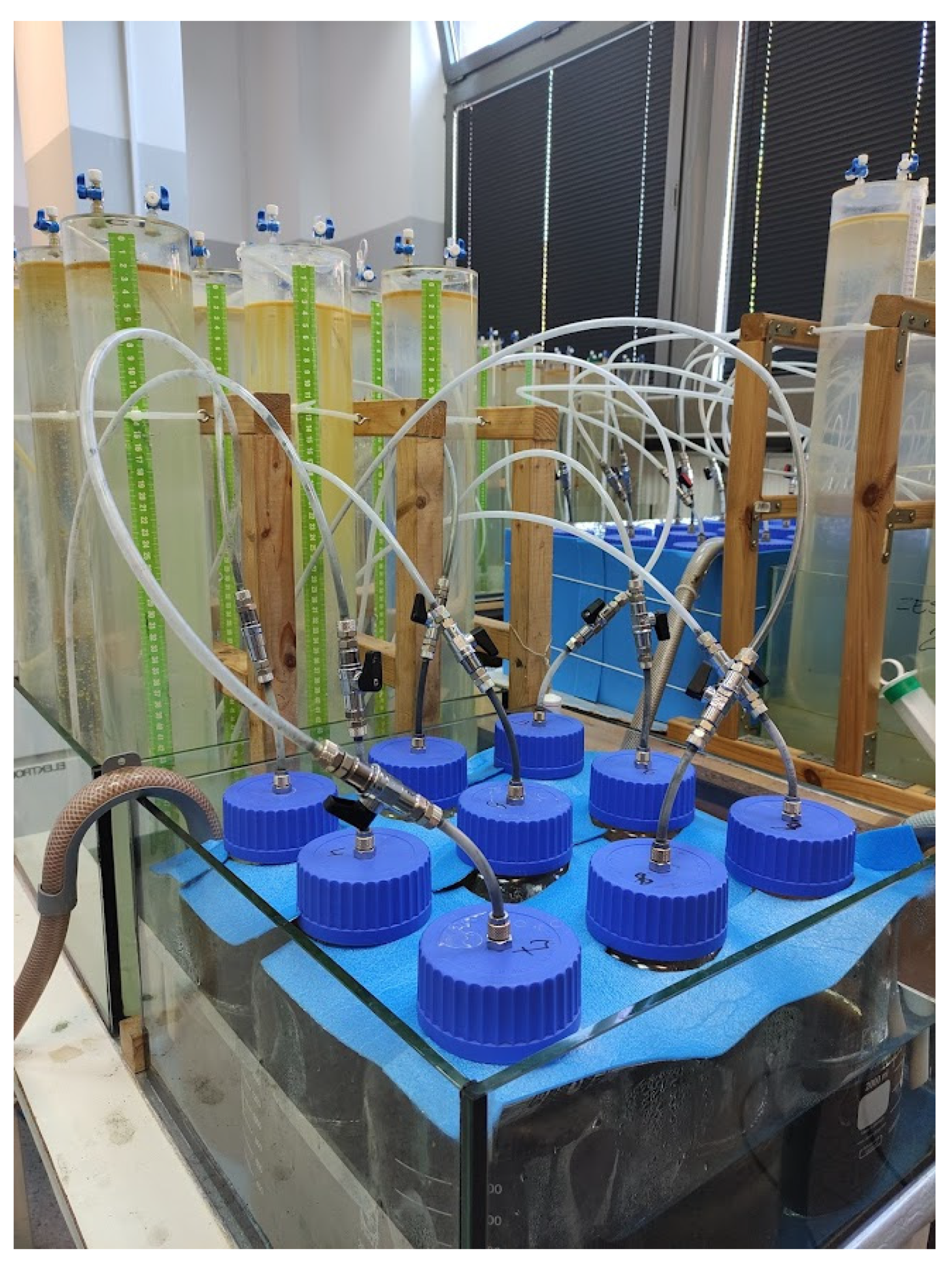 Energies 15 05935 g001