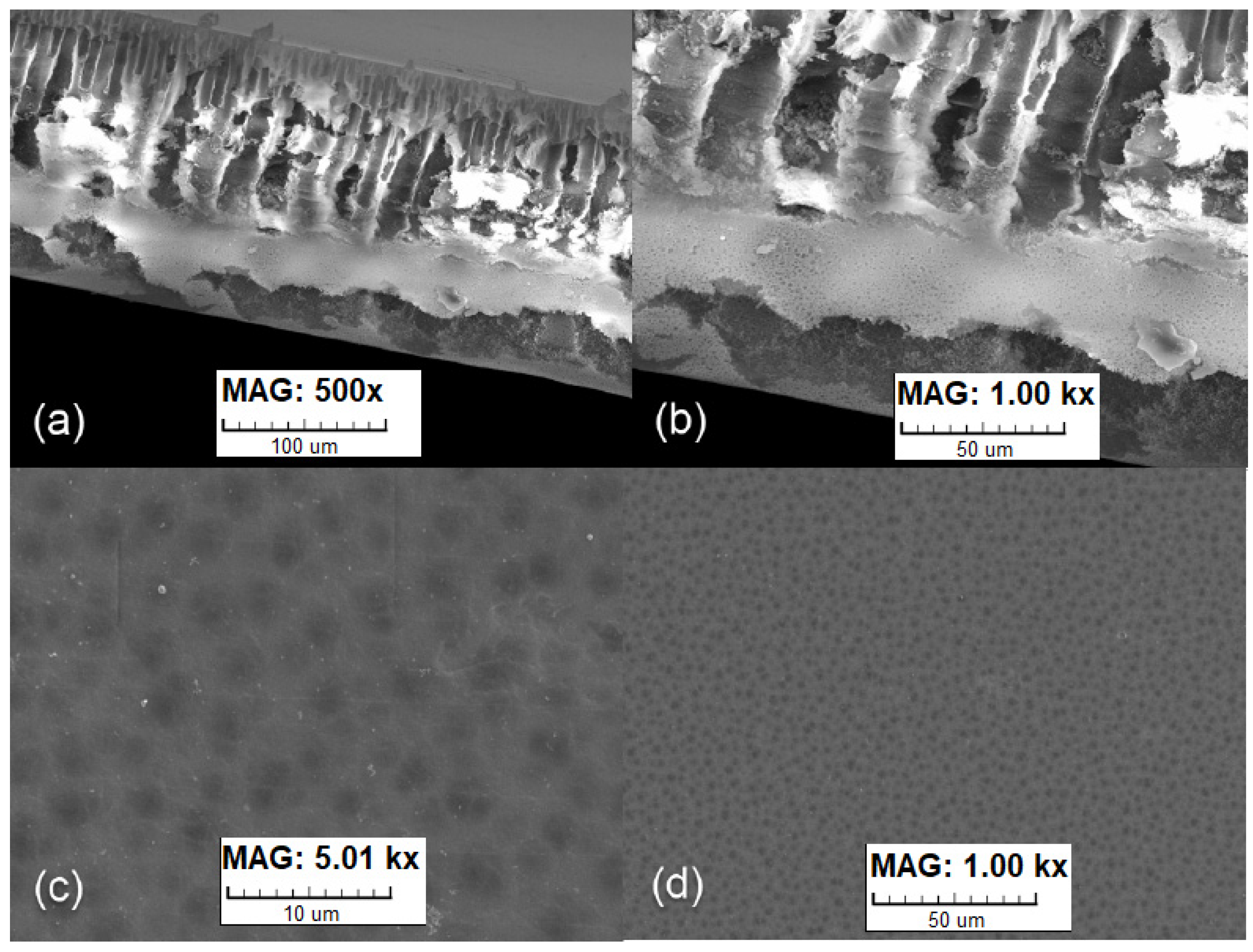Energies 15 06021 g002