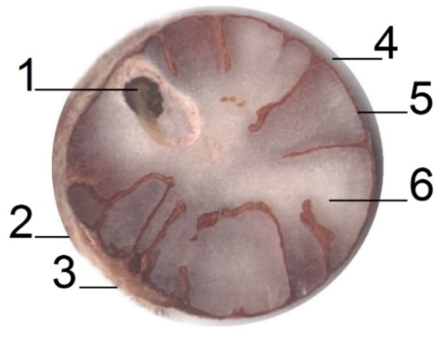 Energies 15 06234 g002