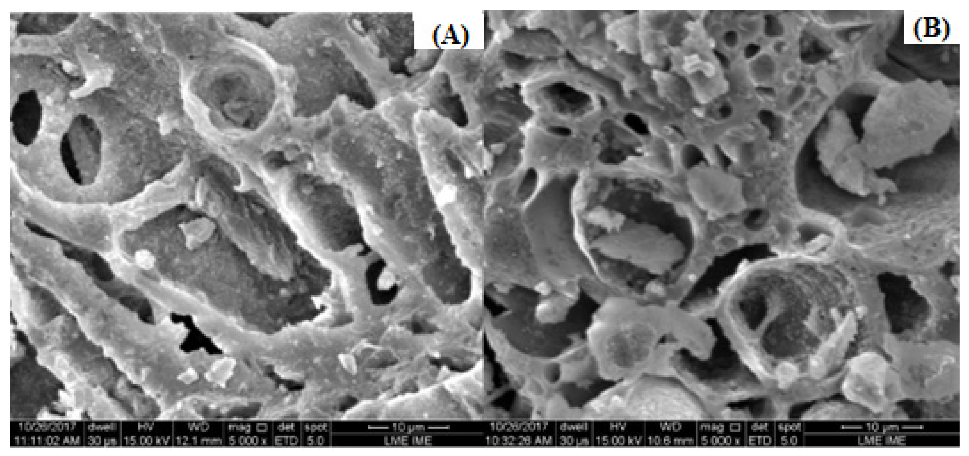 Energies 15 06234 g005