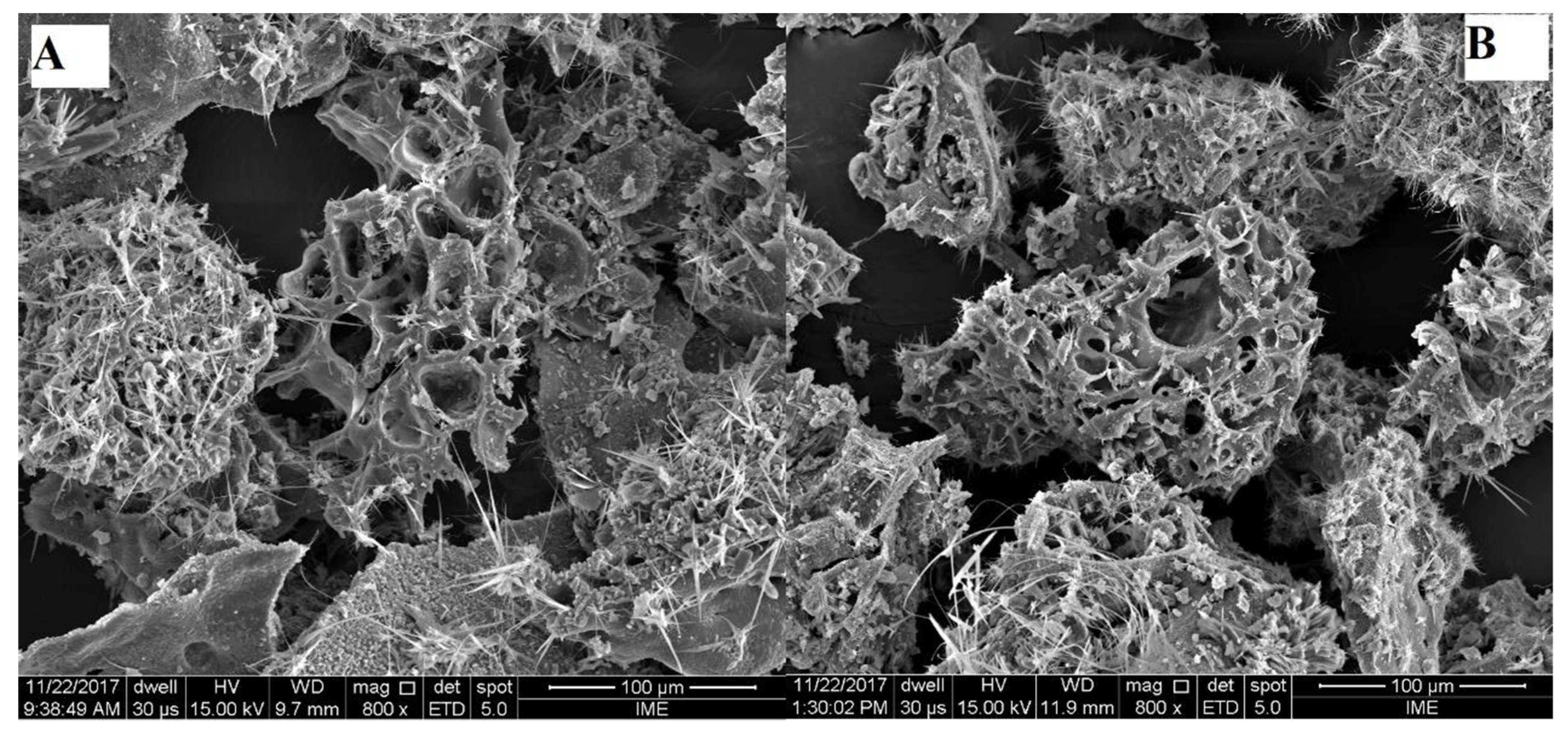 Energies 15 06234 g006