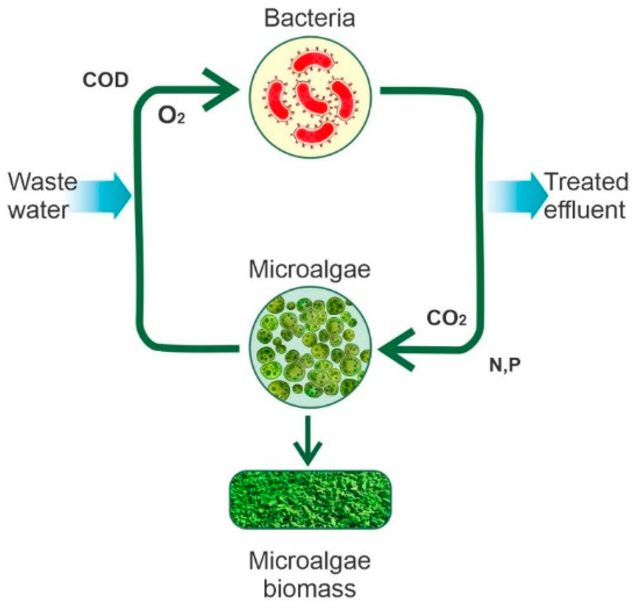 Energies 15 07190 g002 Energies 15 07190 g002