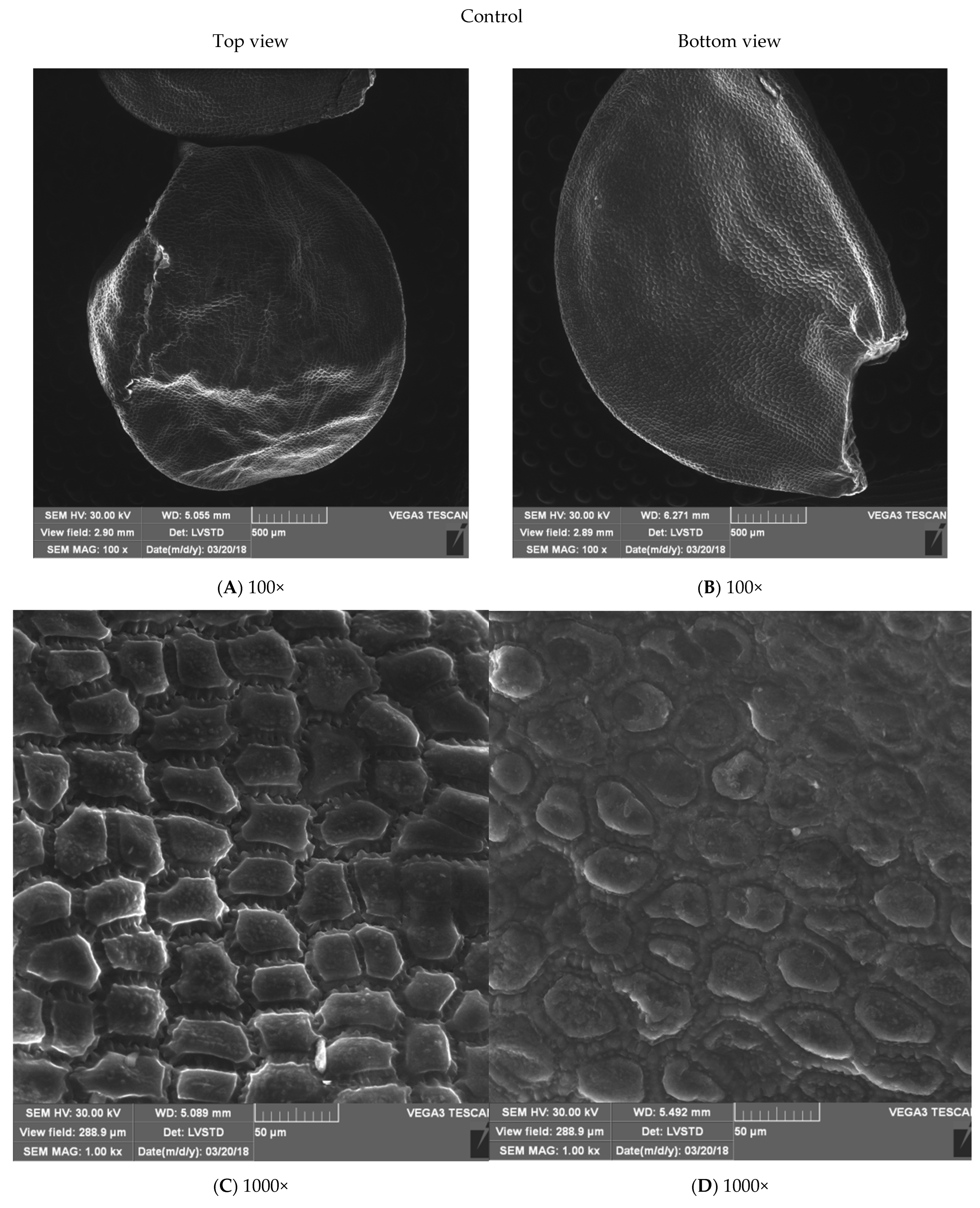 Energies 15 07687 g004a