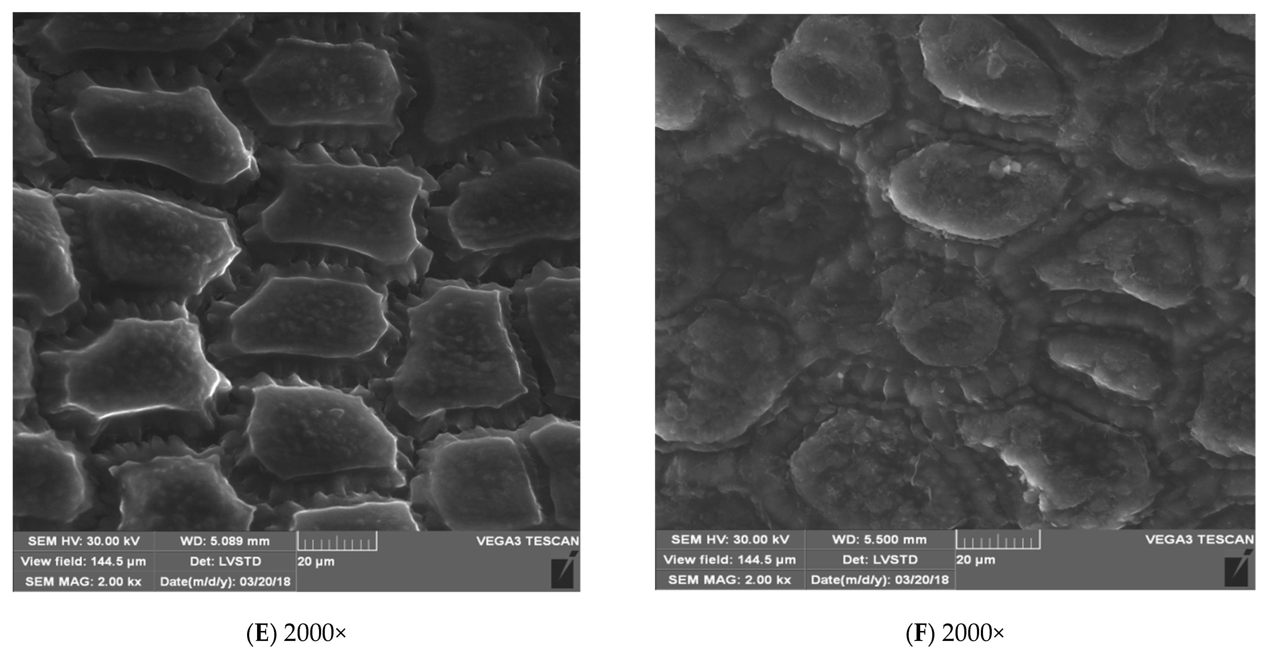 Energies 15 07687 g004b