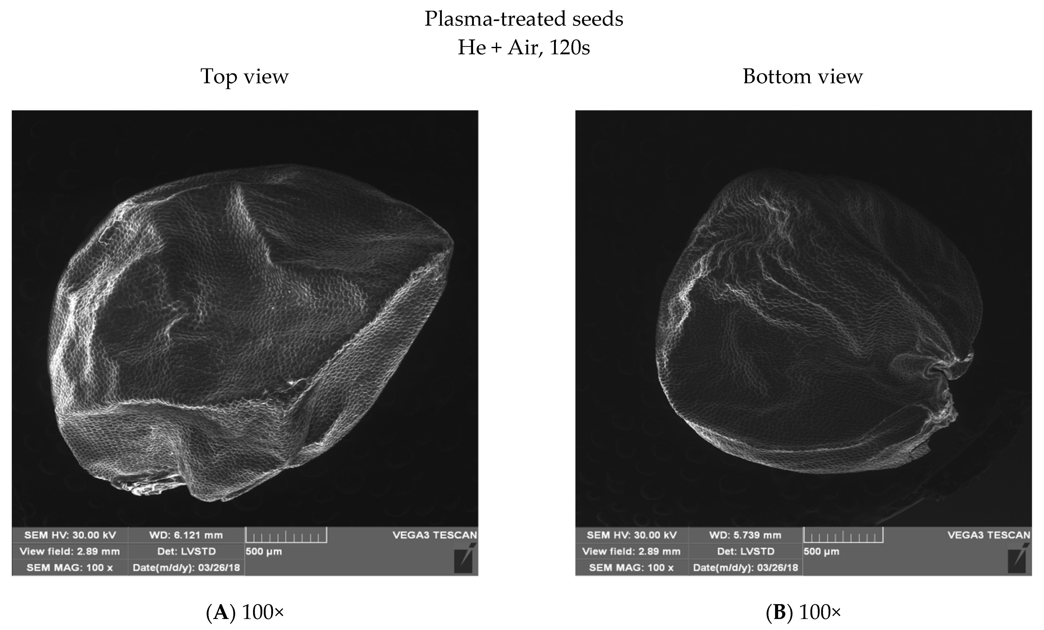 Energies 15 07687 g005a