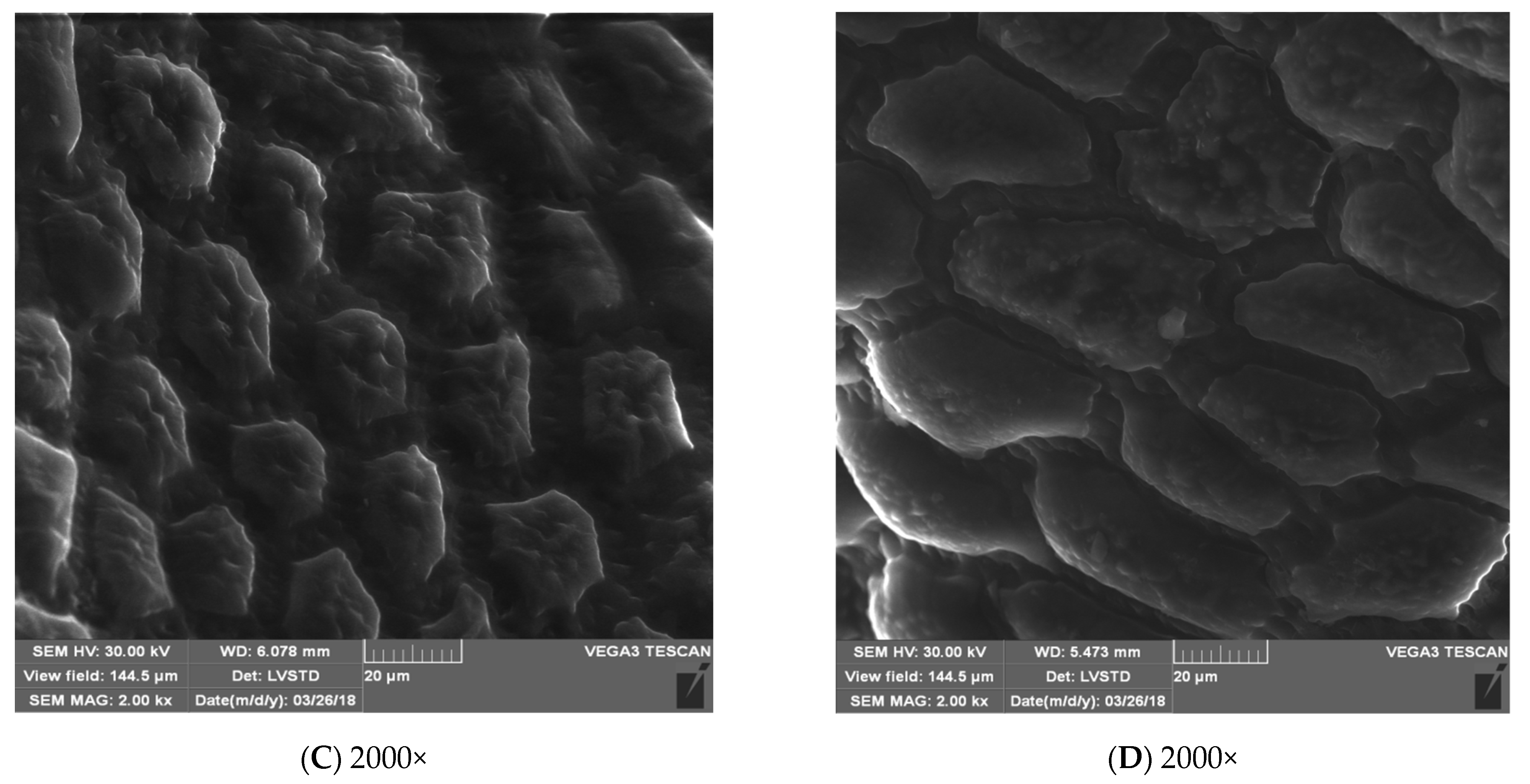 Energies 15 07687 g005b