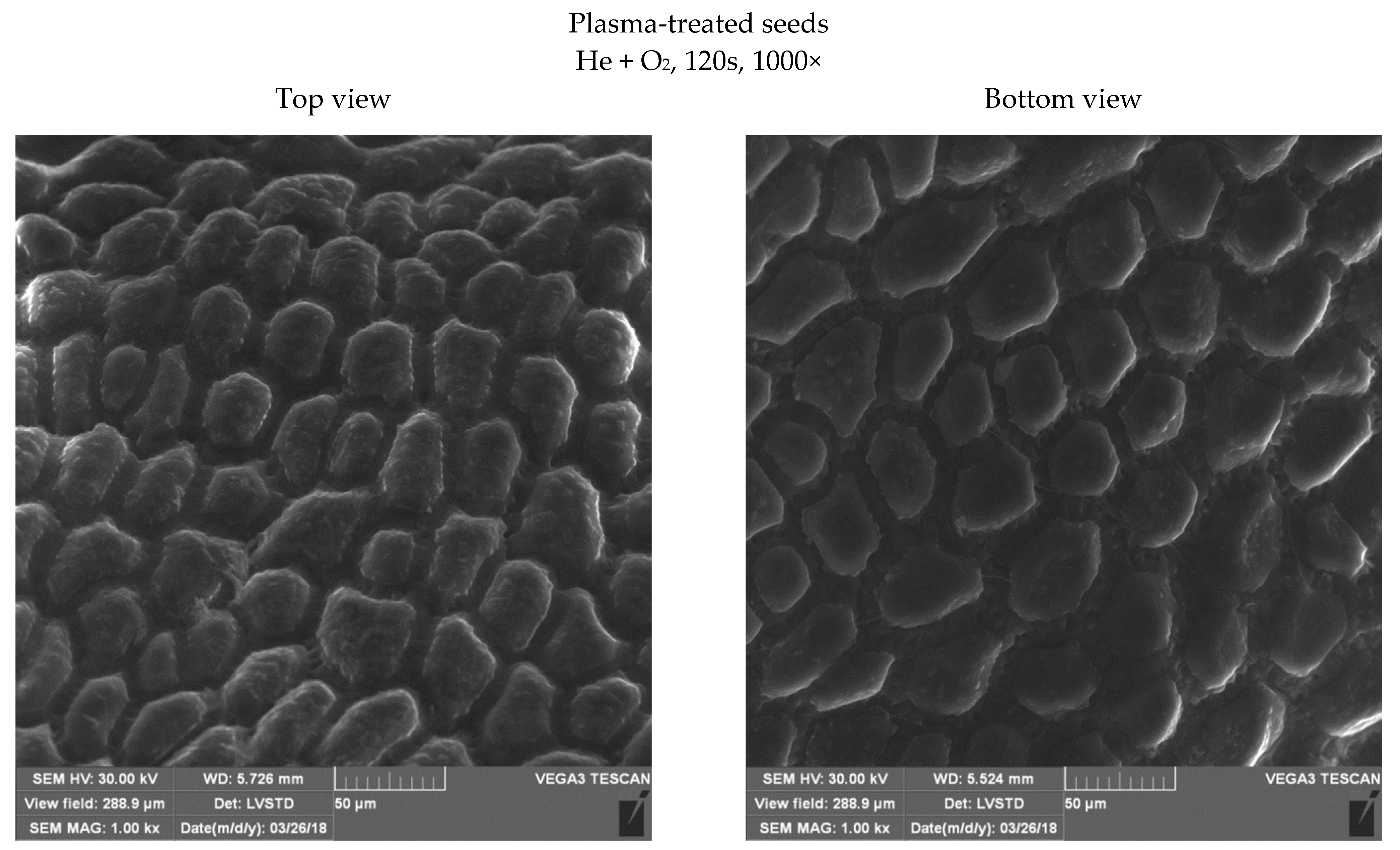 Energies 15 07687 g006