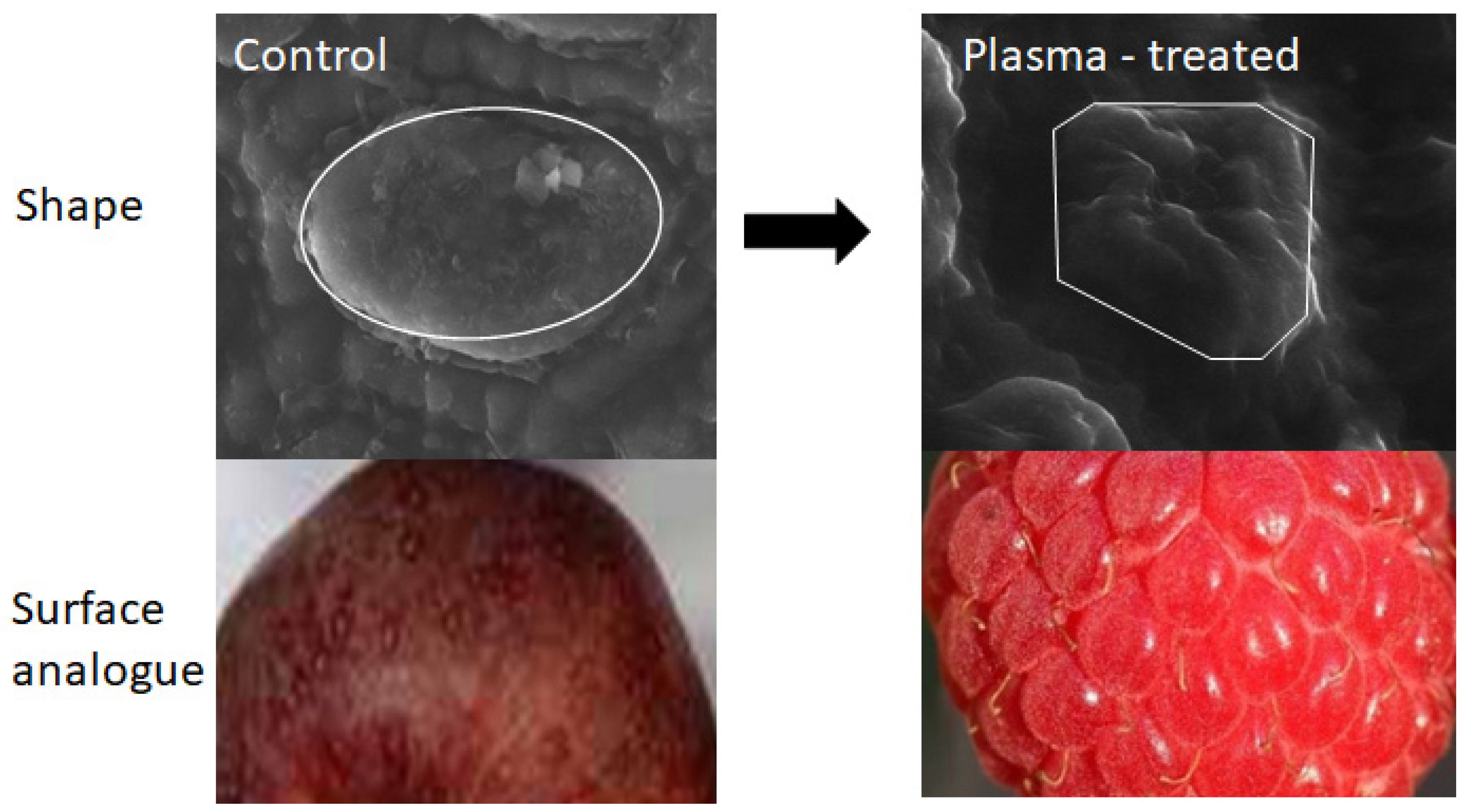 Energies 15 07687 g007