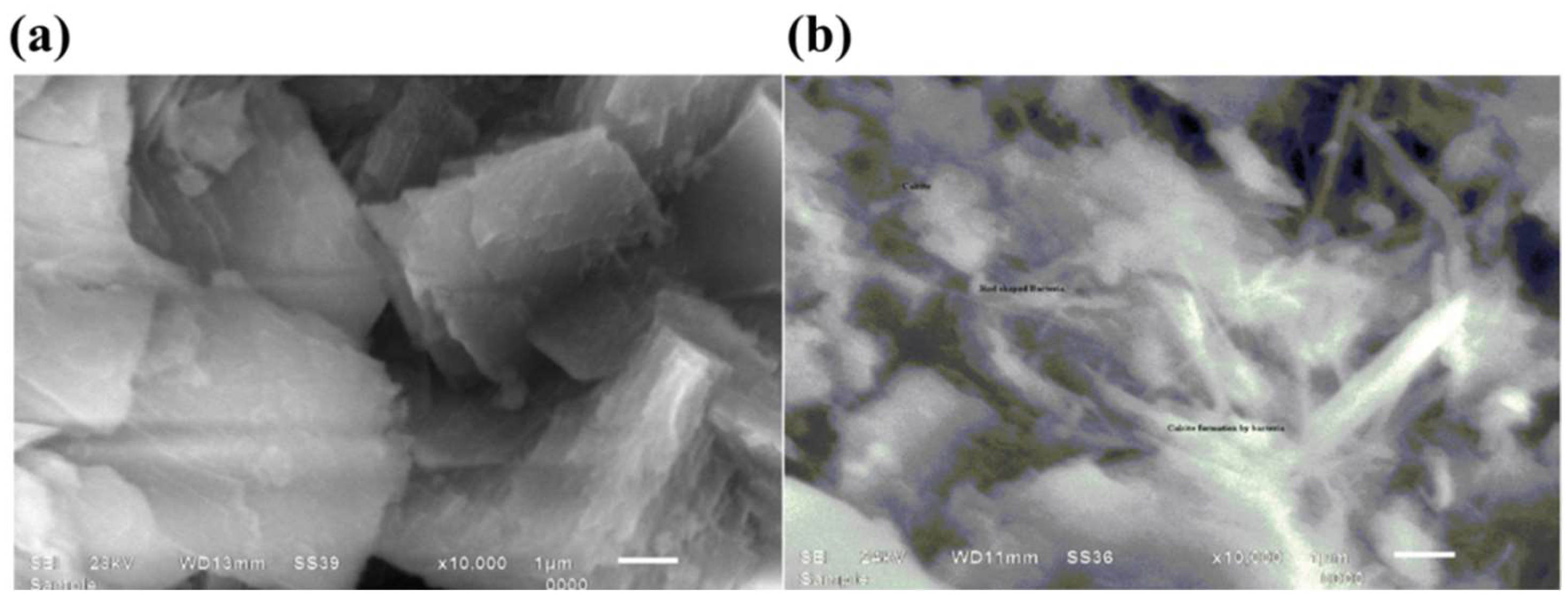 Energies 15 08011 g004