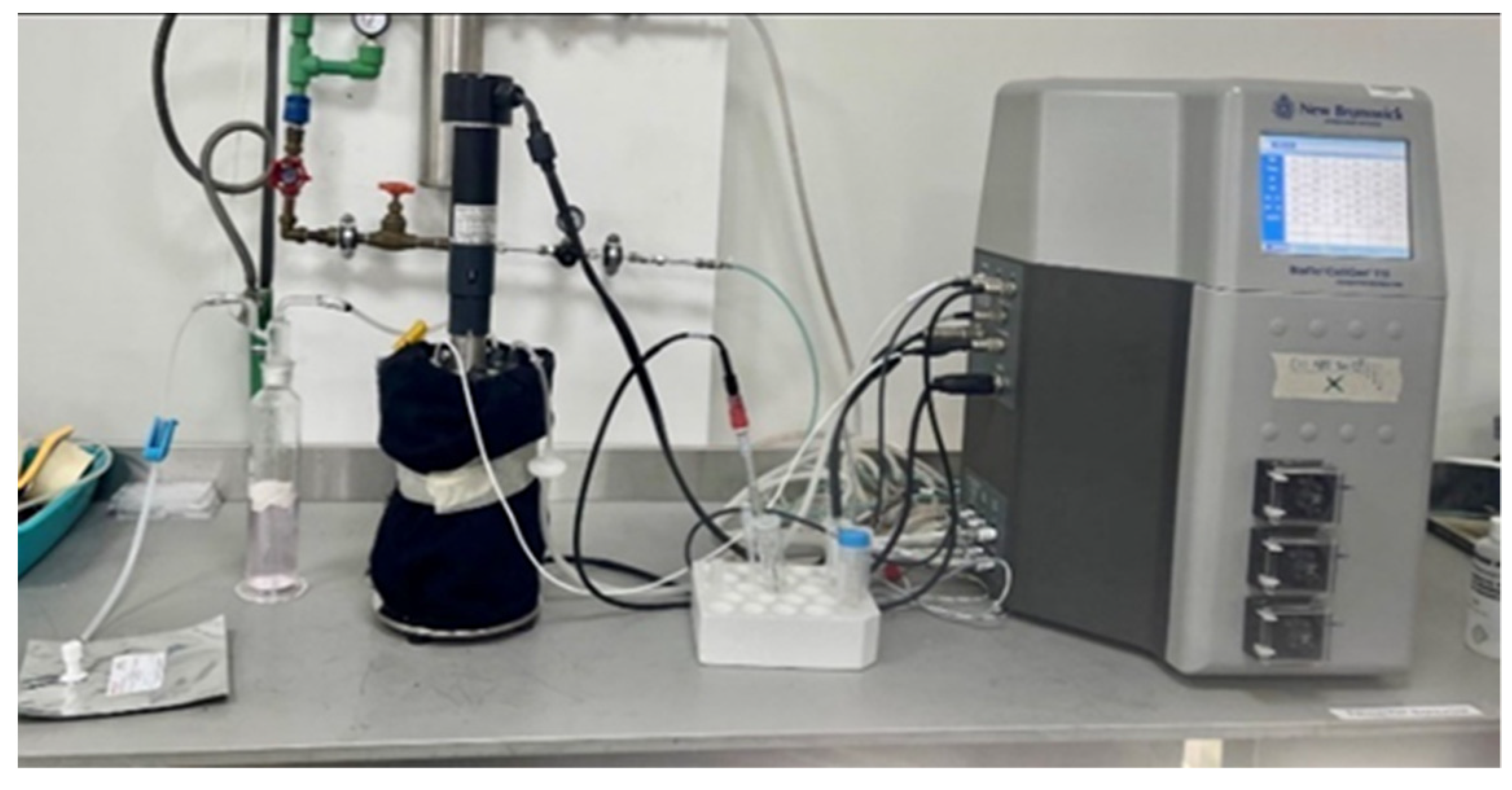 Energies 15 08056 g004 Energies 15 08056 g004