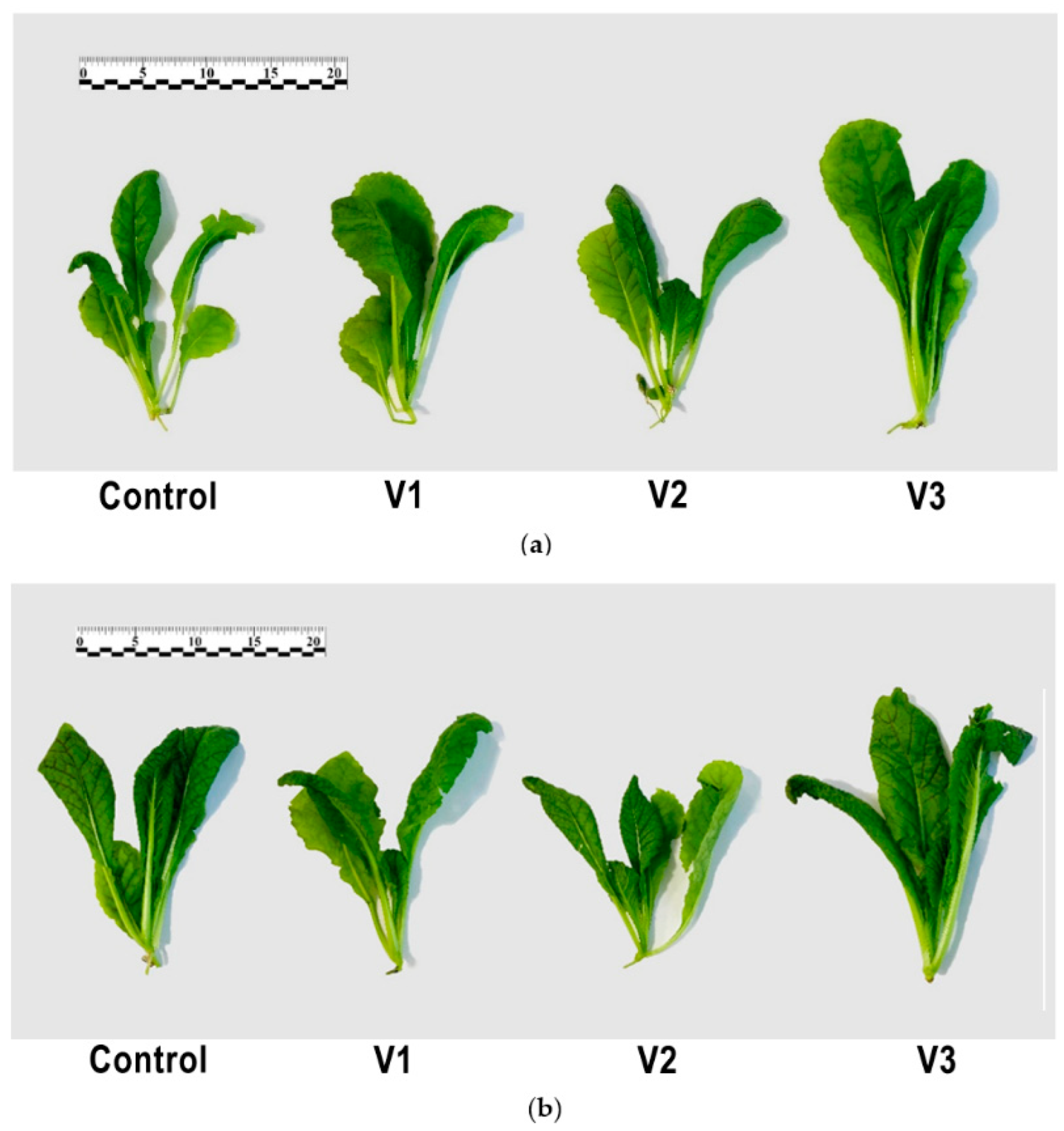 Energies 15 08076 g002