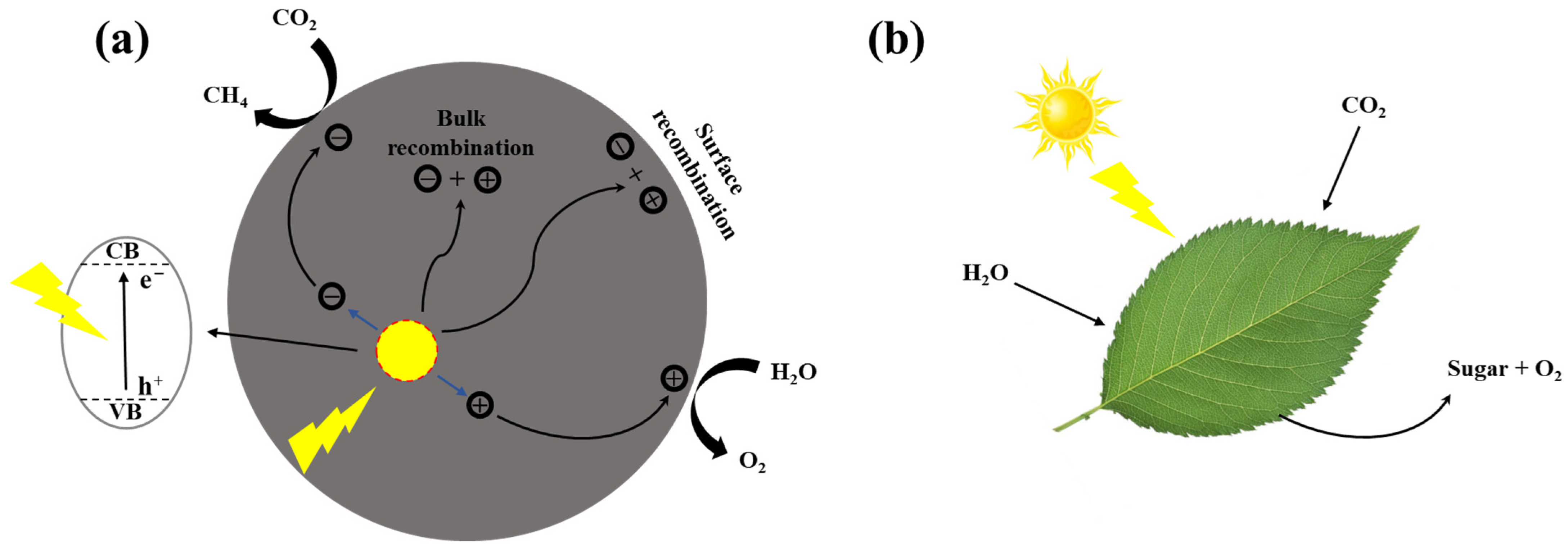 Energies 15 08117 g001