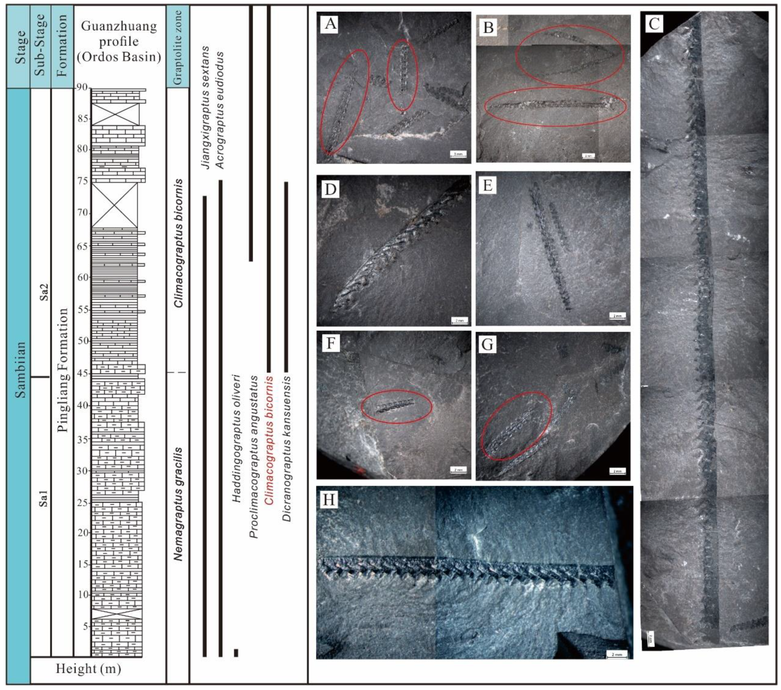 Energies 15 08238 g002