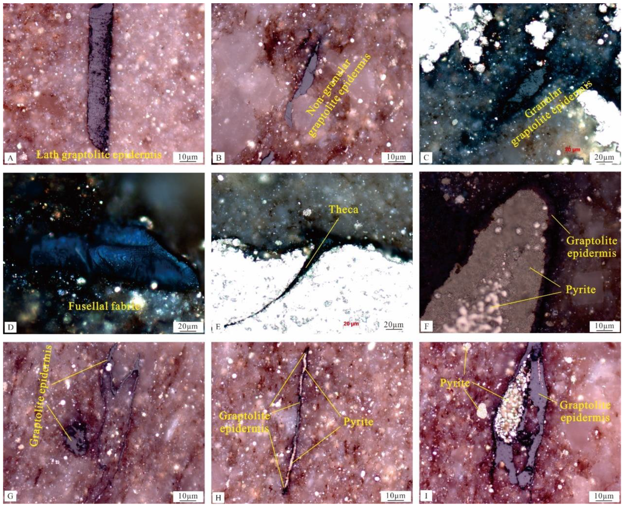 Energies 15 08238 g003