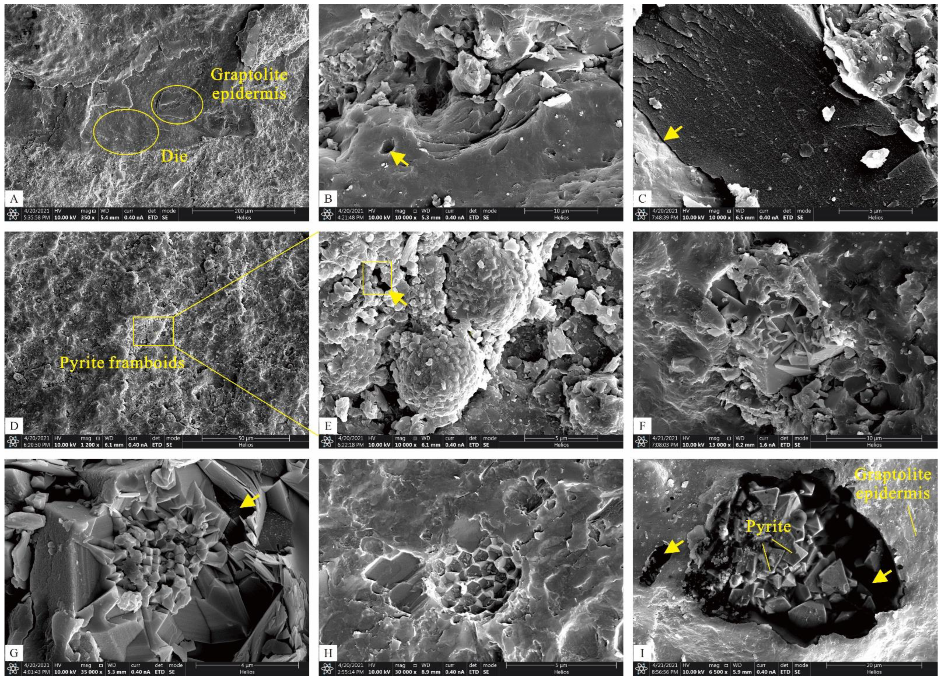 Energies 15 08238 g004