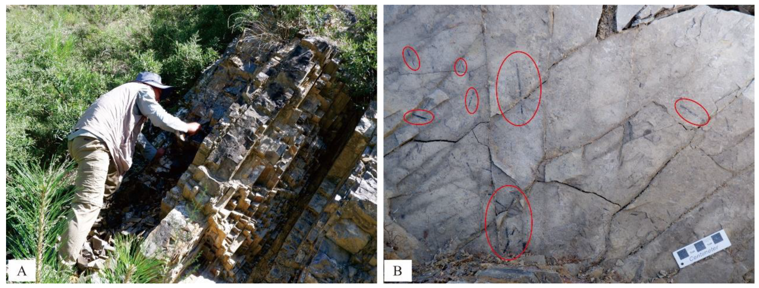 Energies 15 08238 g009