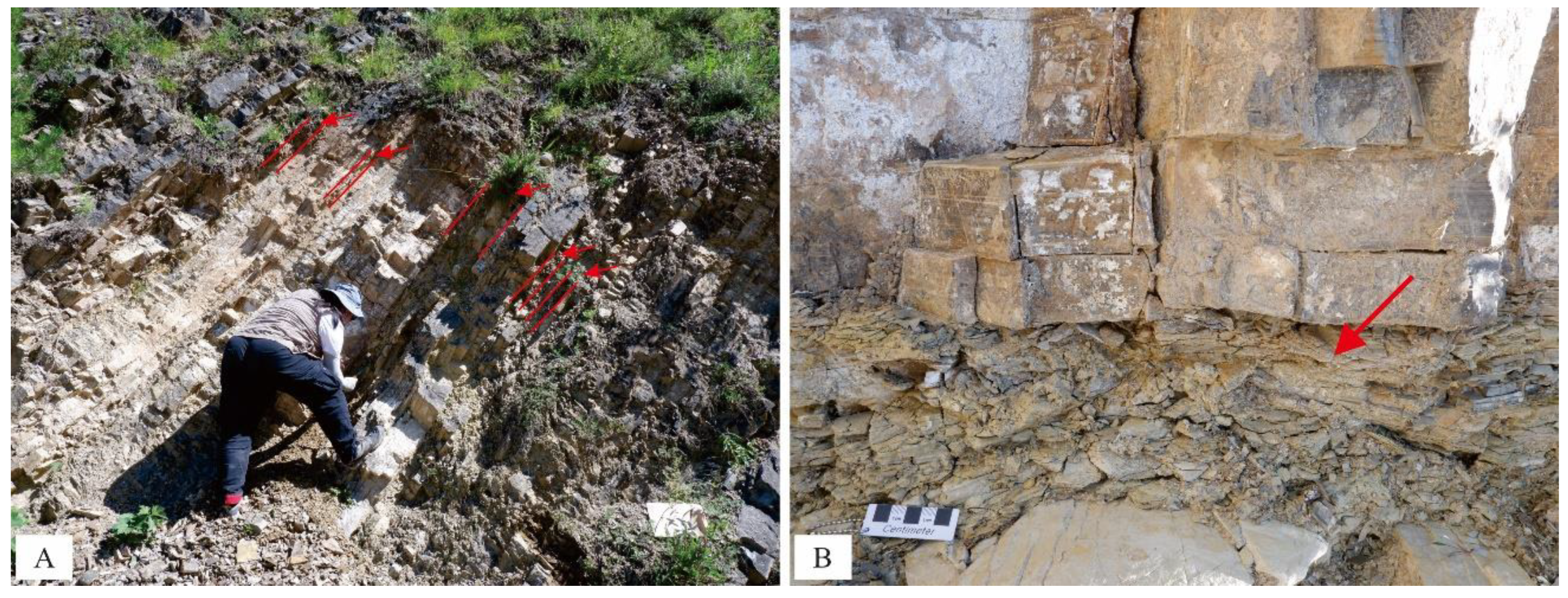 Energies 15 08238 g010