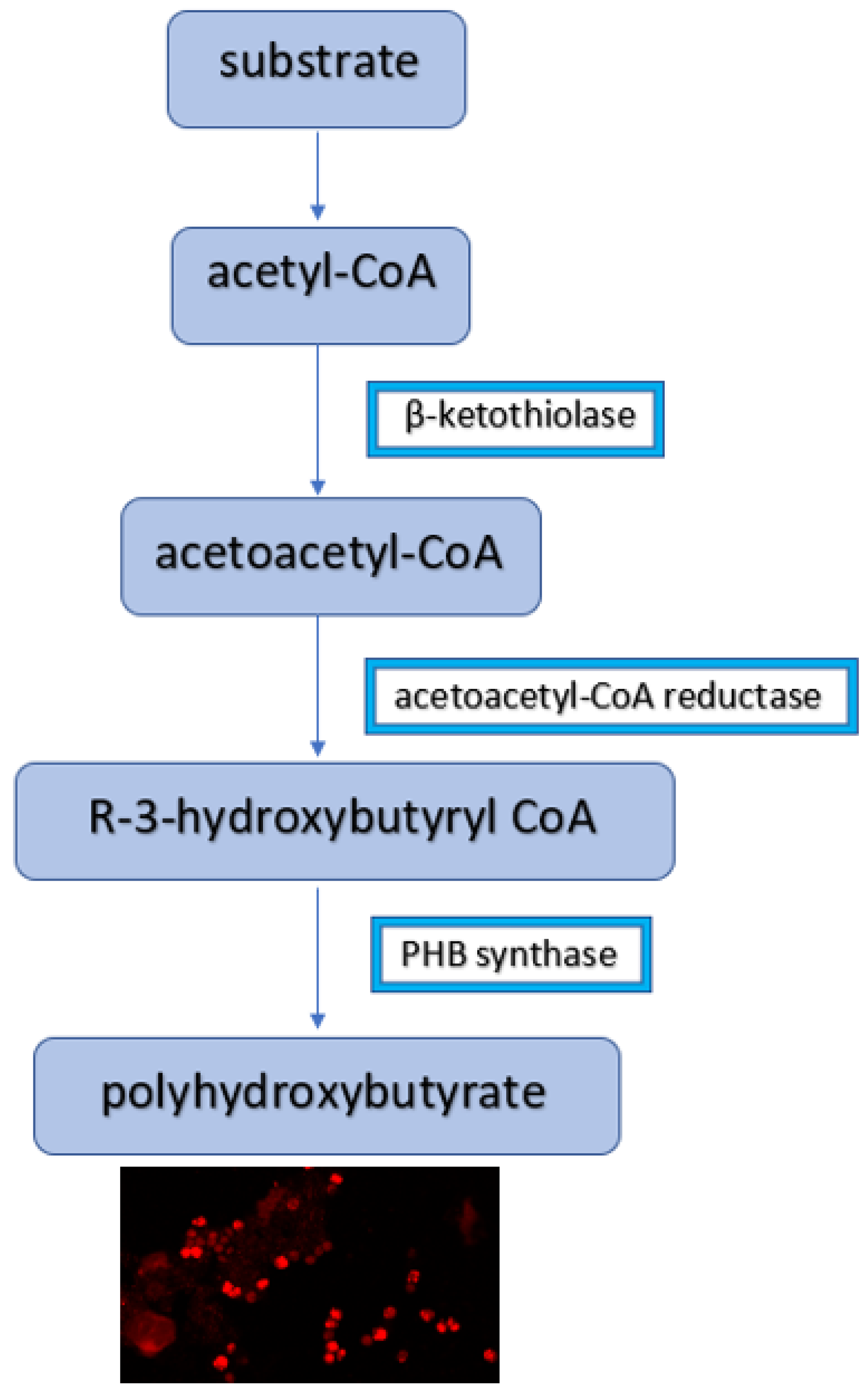 Energies 15 08390 g001 Energies 15 08390 g001