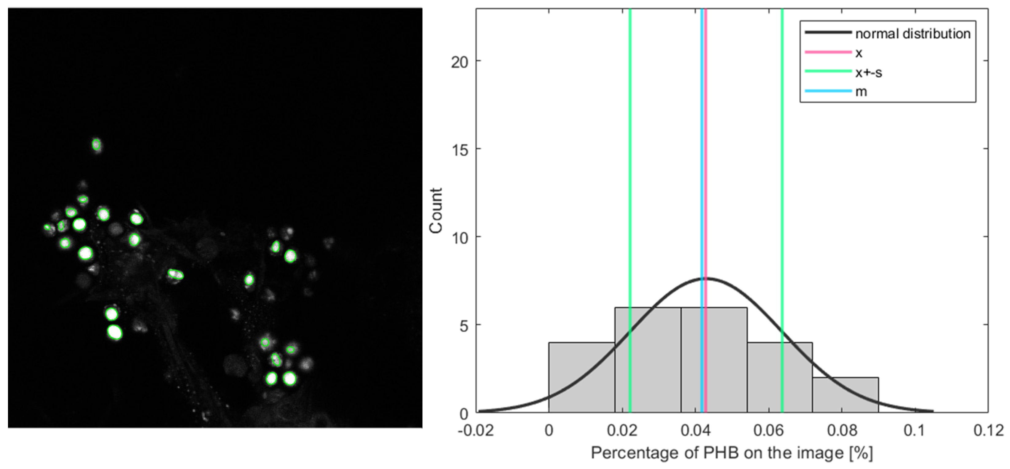 Energies 15 08390 g011 Energies 15 08390 g011