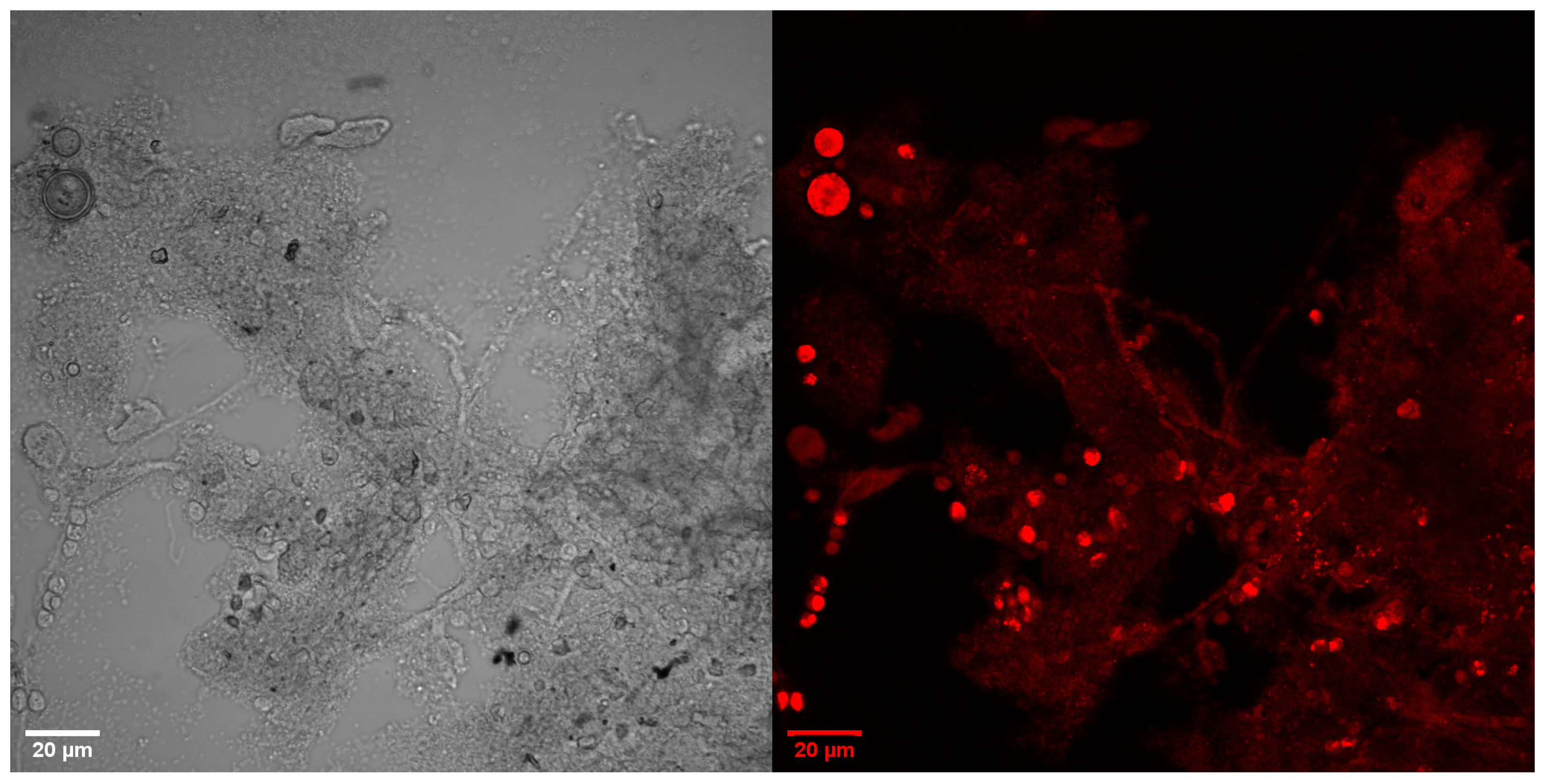 Energies 15 08390 g012 Energies 15 08390 g012