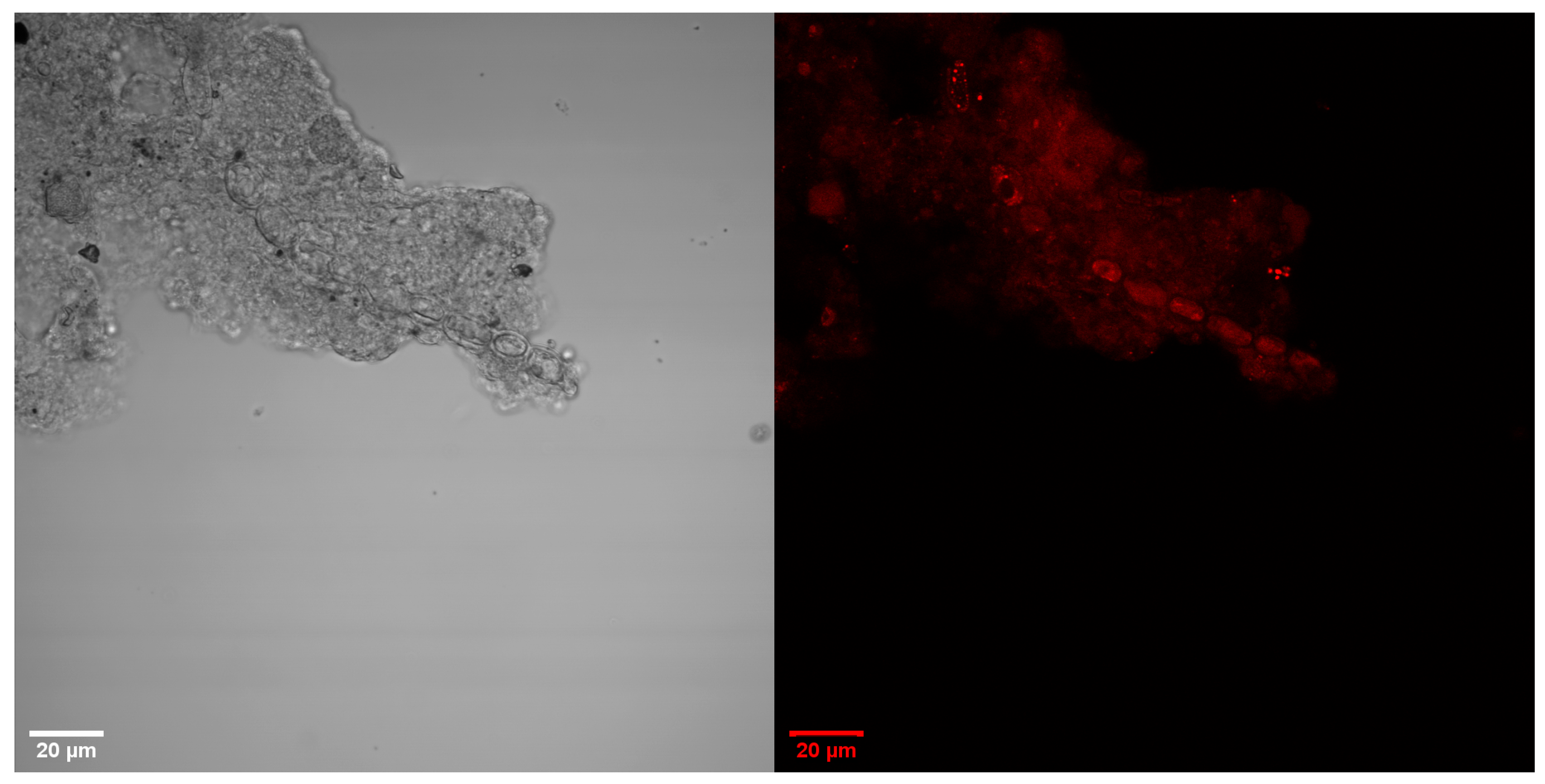 Energies 15 08390 g013 Energies 15 08390 g013