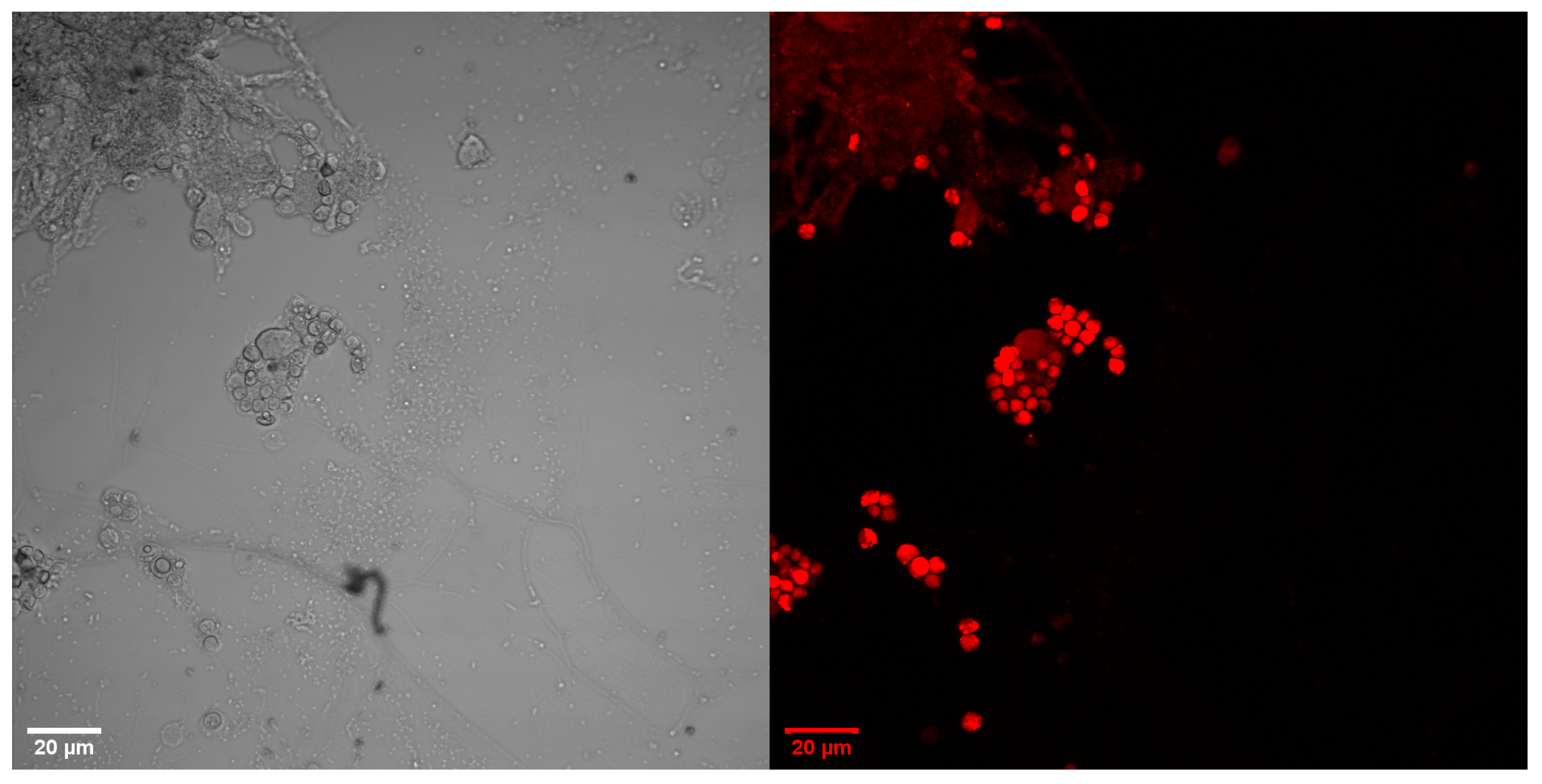 Energies 15 08390 g0a1a Energies 15 08390 g0a1a