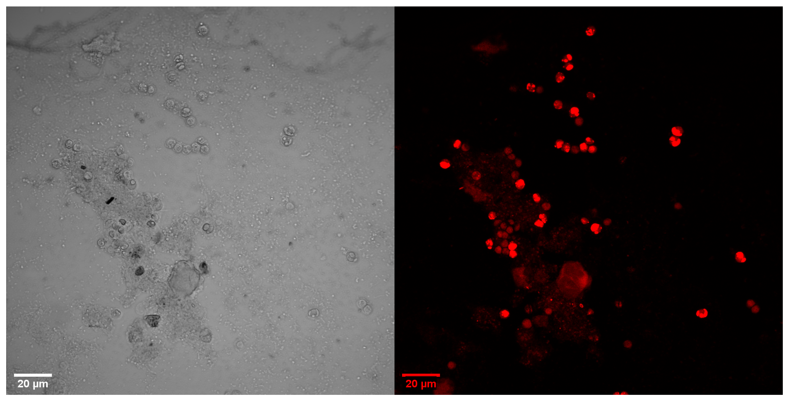 Energies 15 08390 g0a1b Energies 15 08390 g0a1b