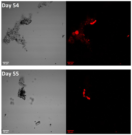 Energies 15 08390 g0a2a Energies 15 08390 g0a2a