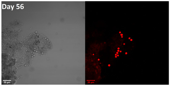 Energies 15 08390 g0a2b