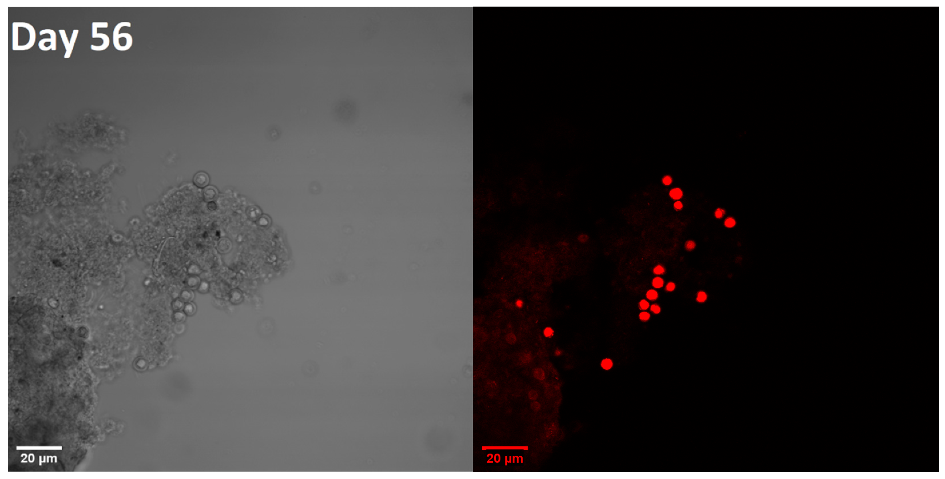 Energies 15 08390 g0a2b Energies 15 08390 g0a2b