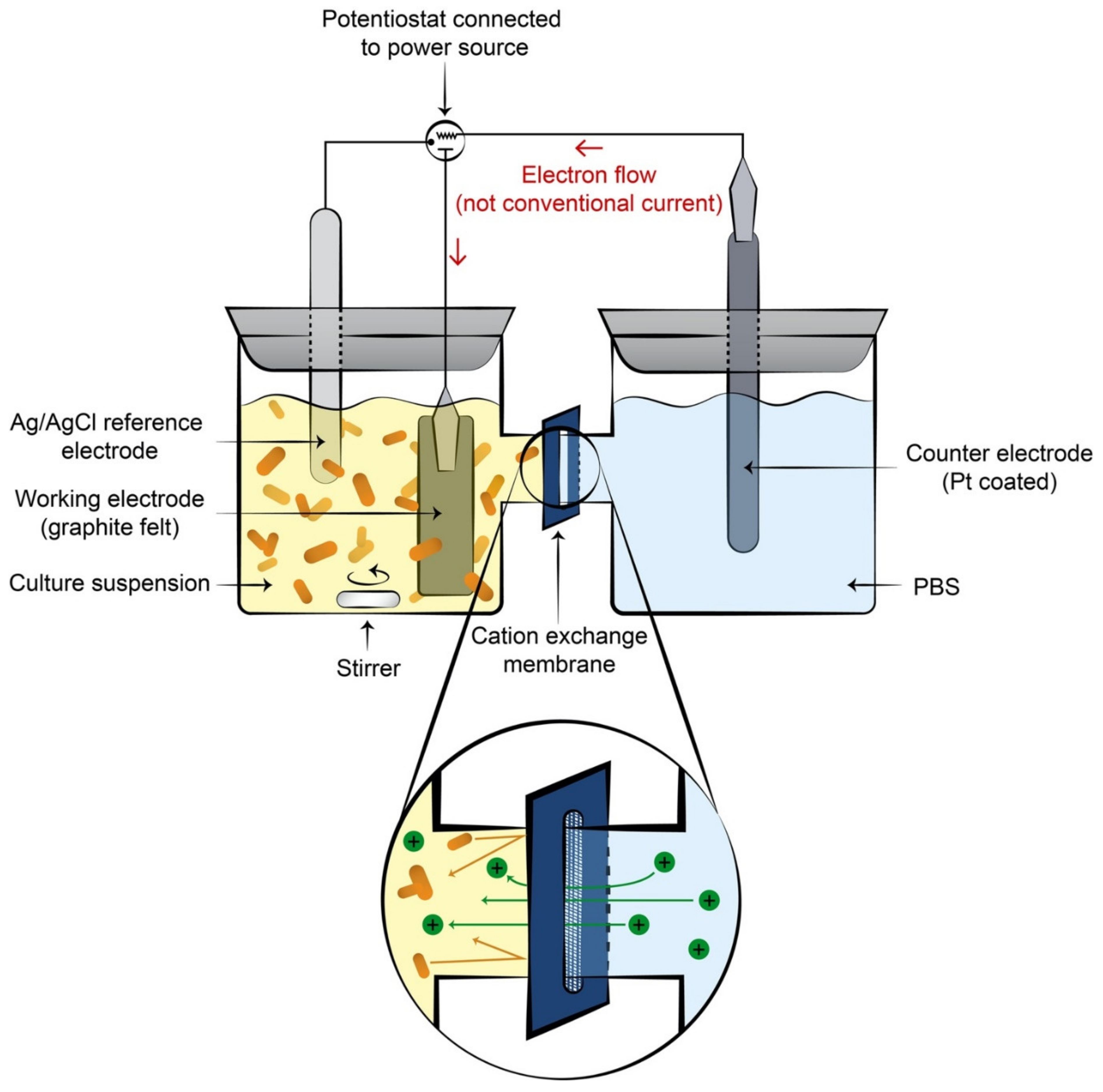 Energies 15 08638 g001