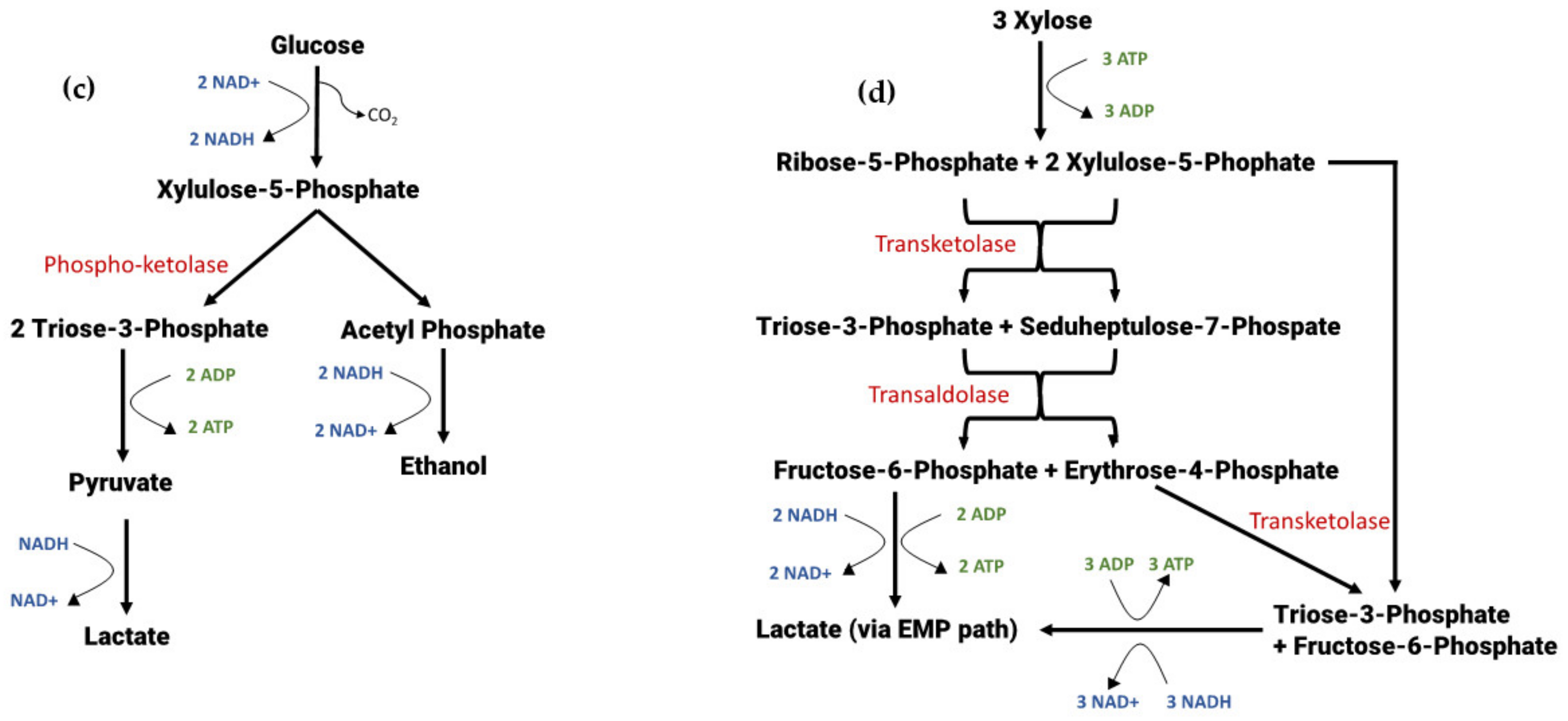 Energies 15 08638 g002b