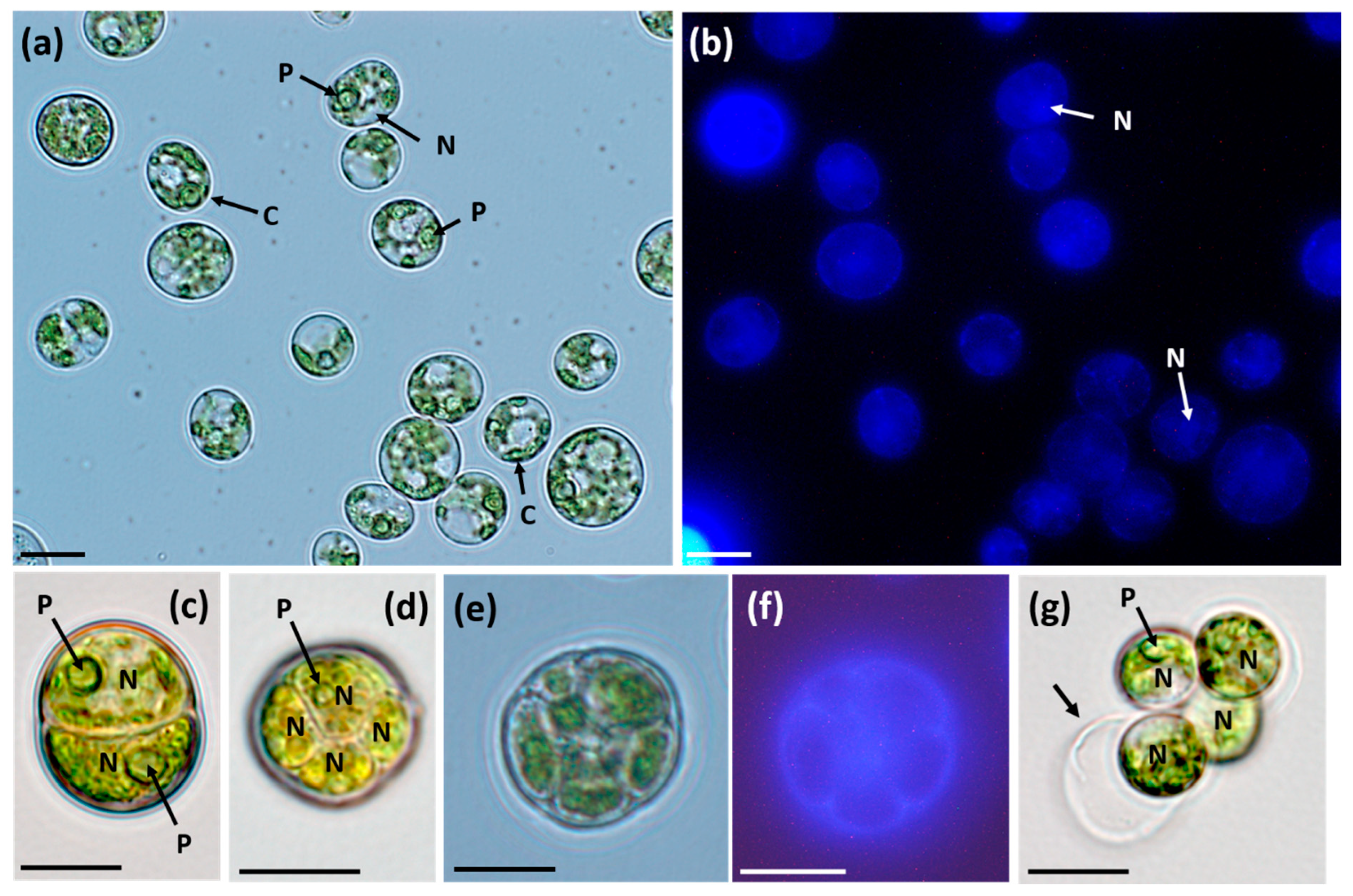 Energies 15 08725 g002 Energies 15 08725 g002