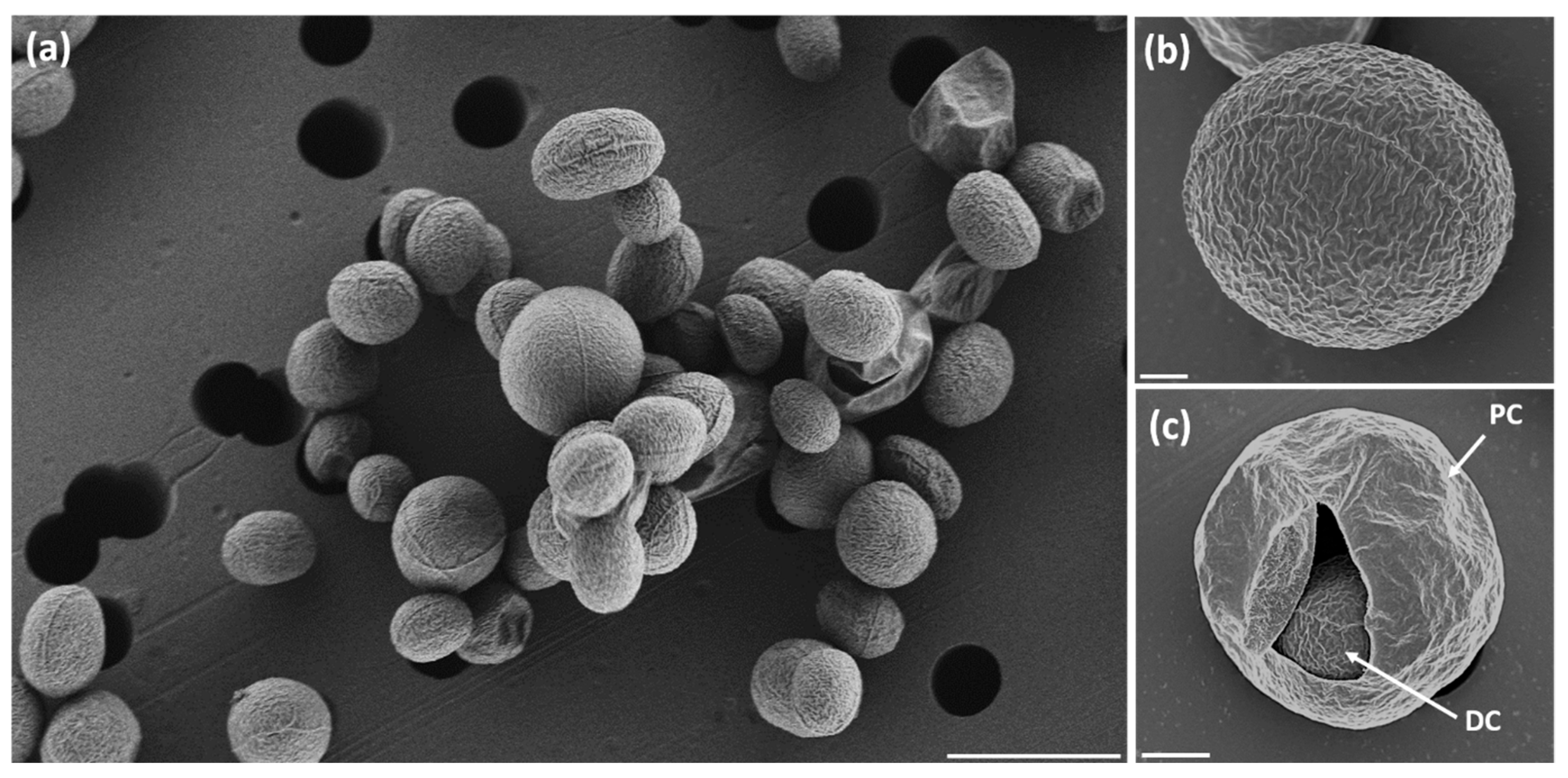 Energies 15 08725 g003 Energies 15 08725 g003